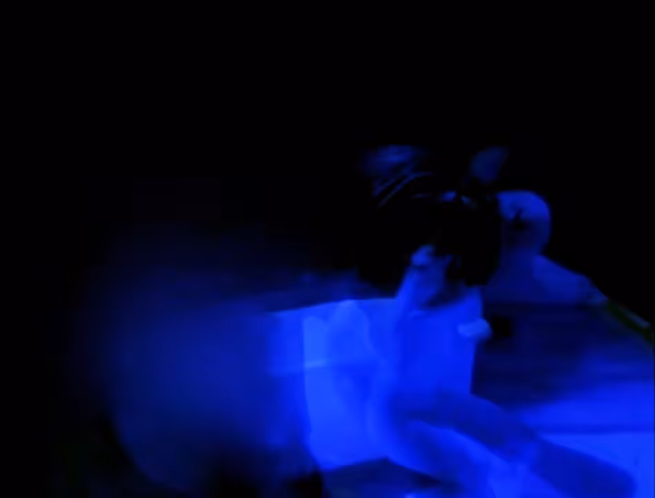 Body blue-print, part I