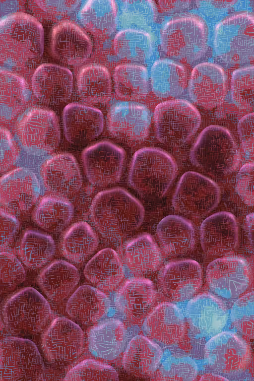 Vitreous #19