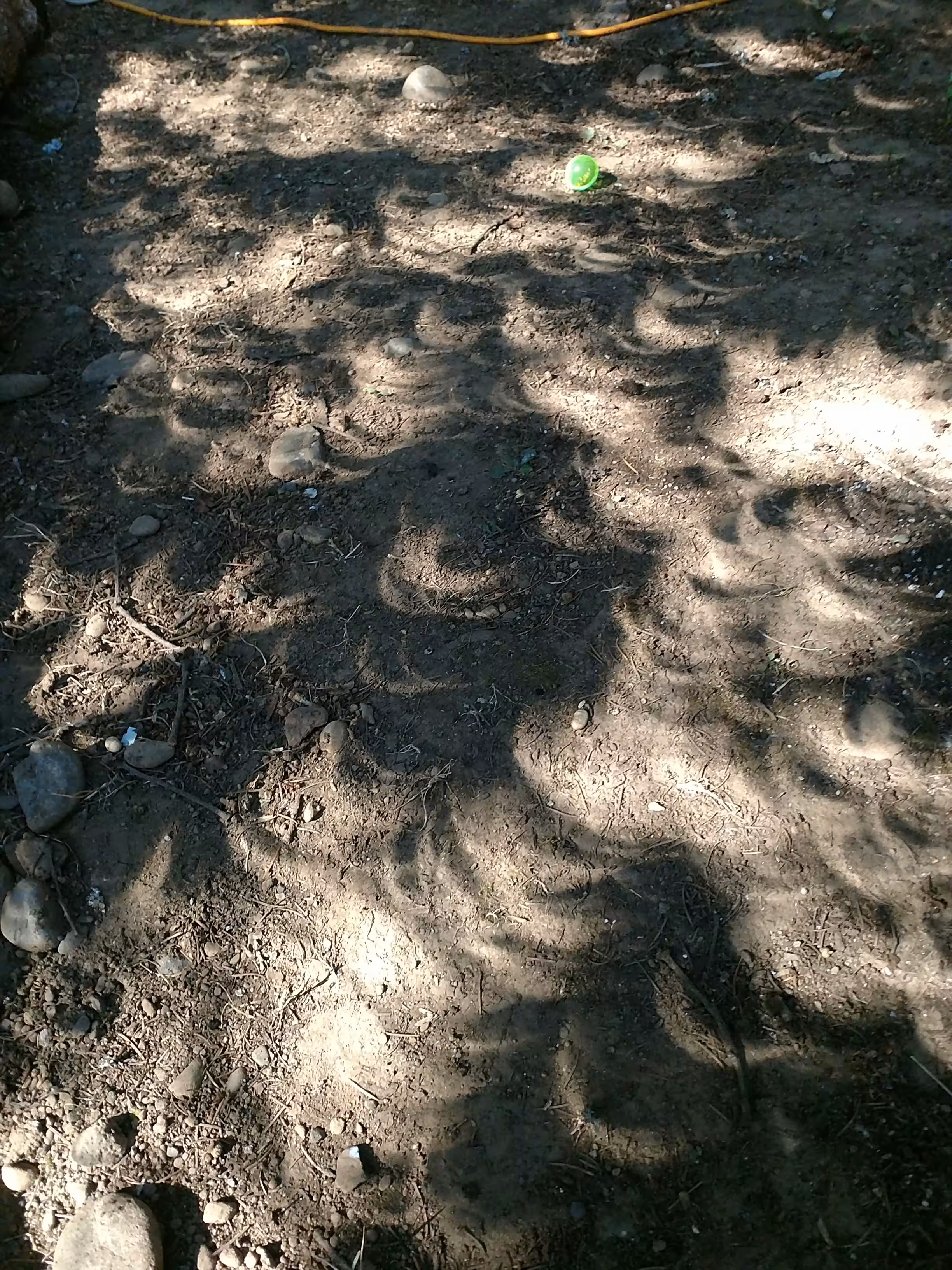 Eclipse shadows