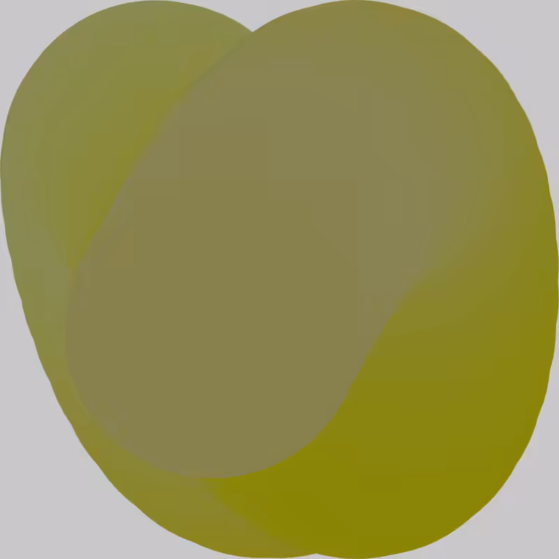 50 CIRCLES #1