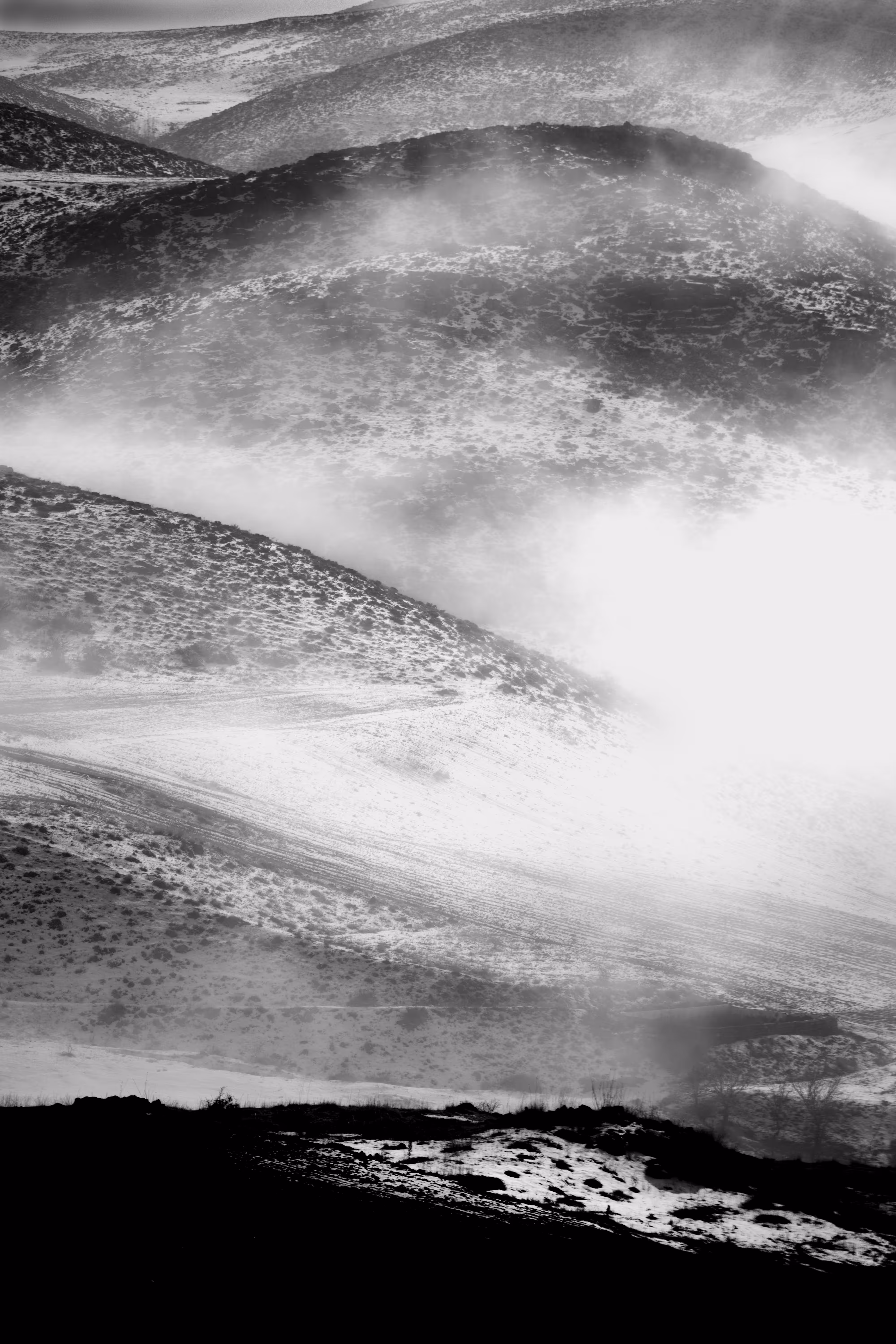 A Landscape in the Mist