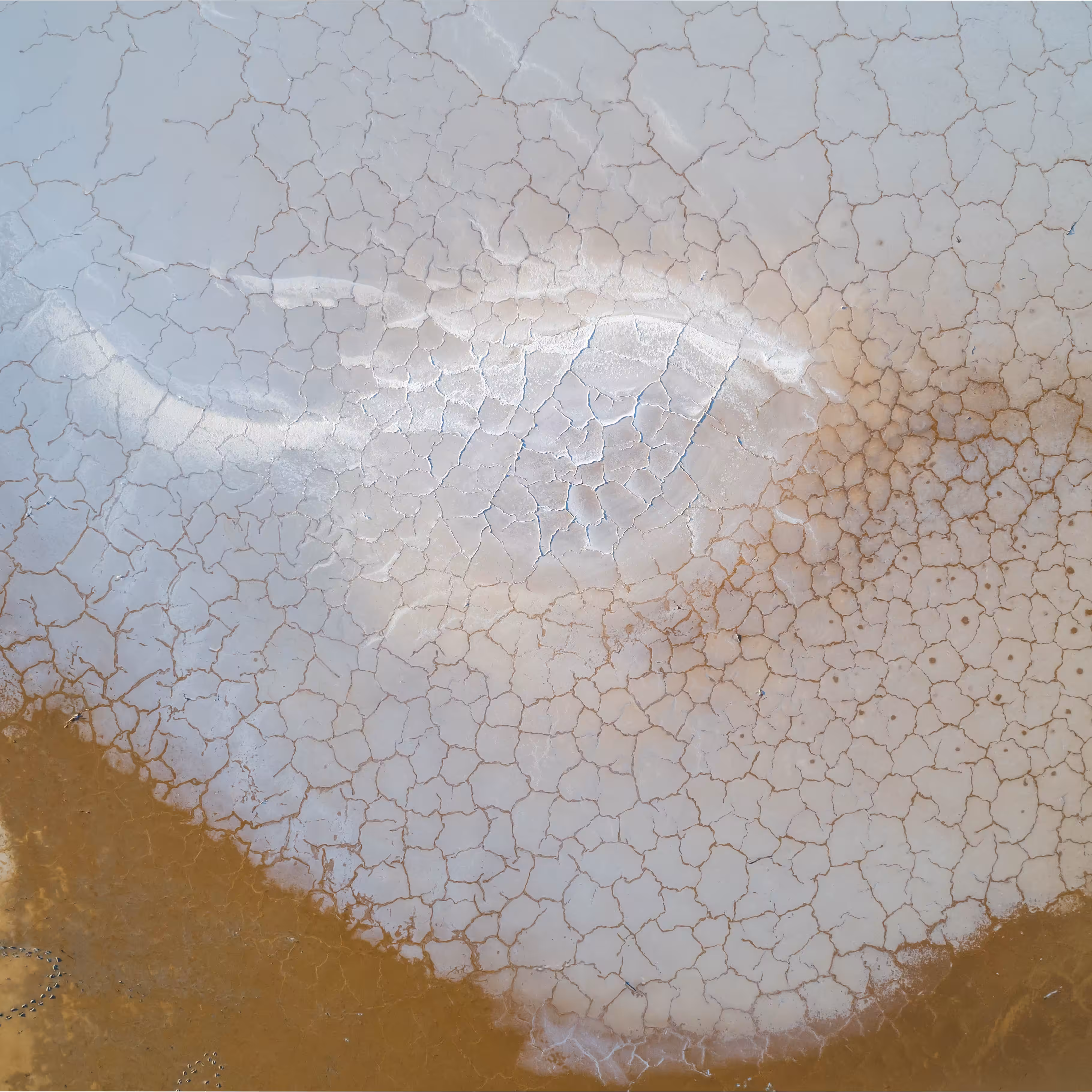 Coffee Cup Art