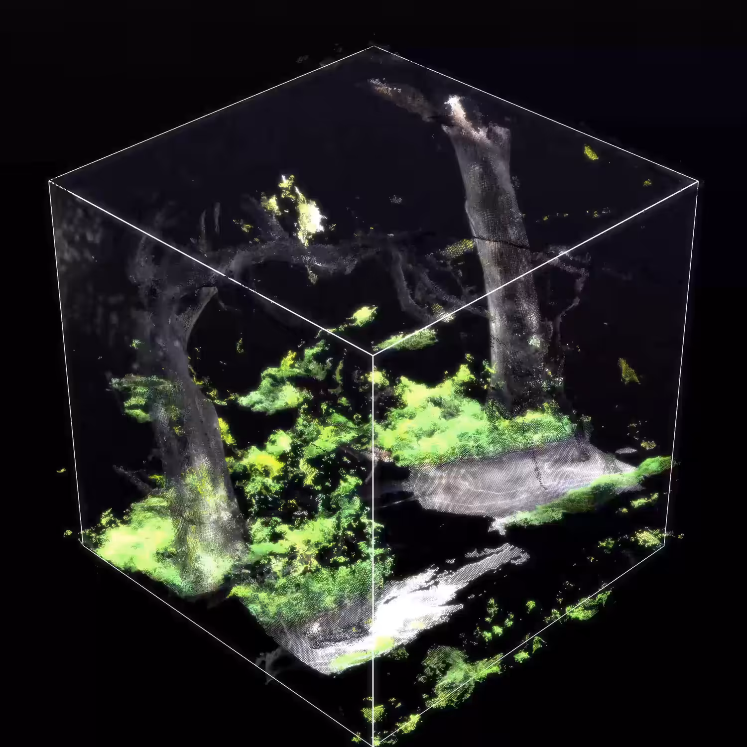 Decay Cube #01 (Oak)