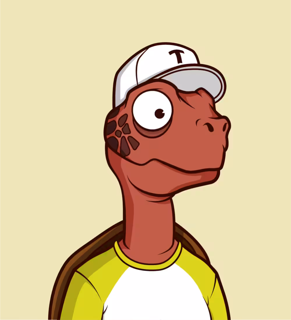 Tiny Turtle 93