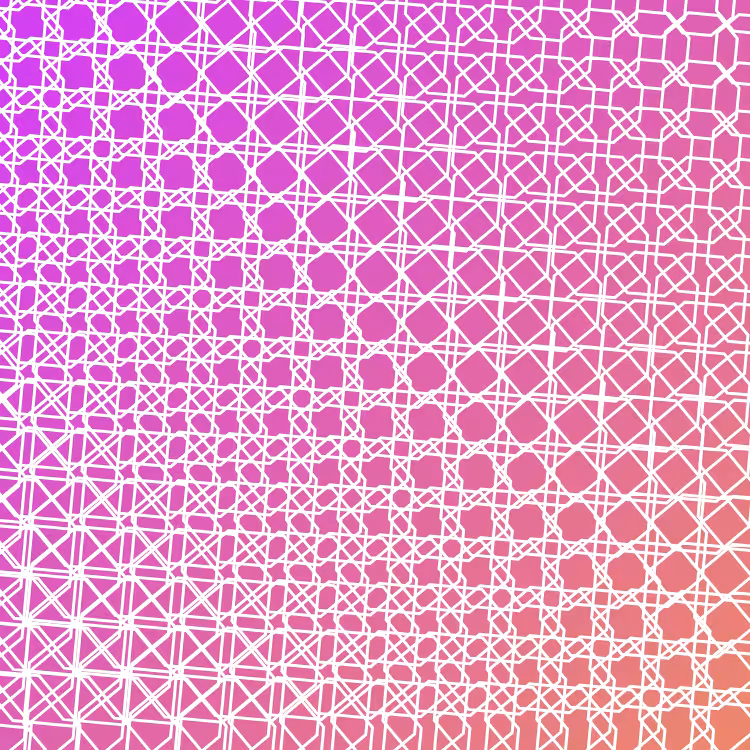 bilinearInterpolationTwist #14