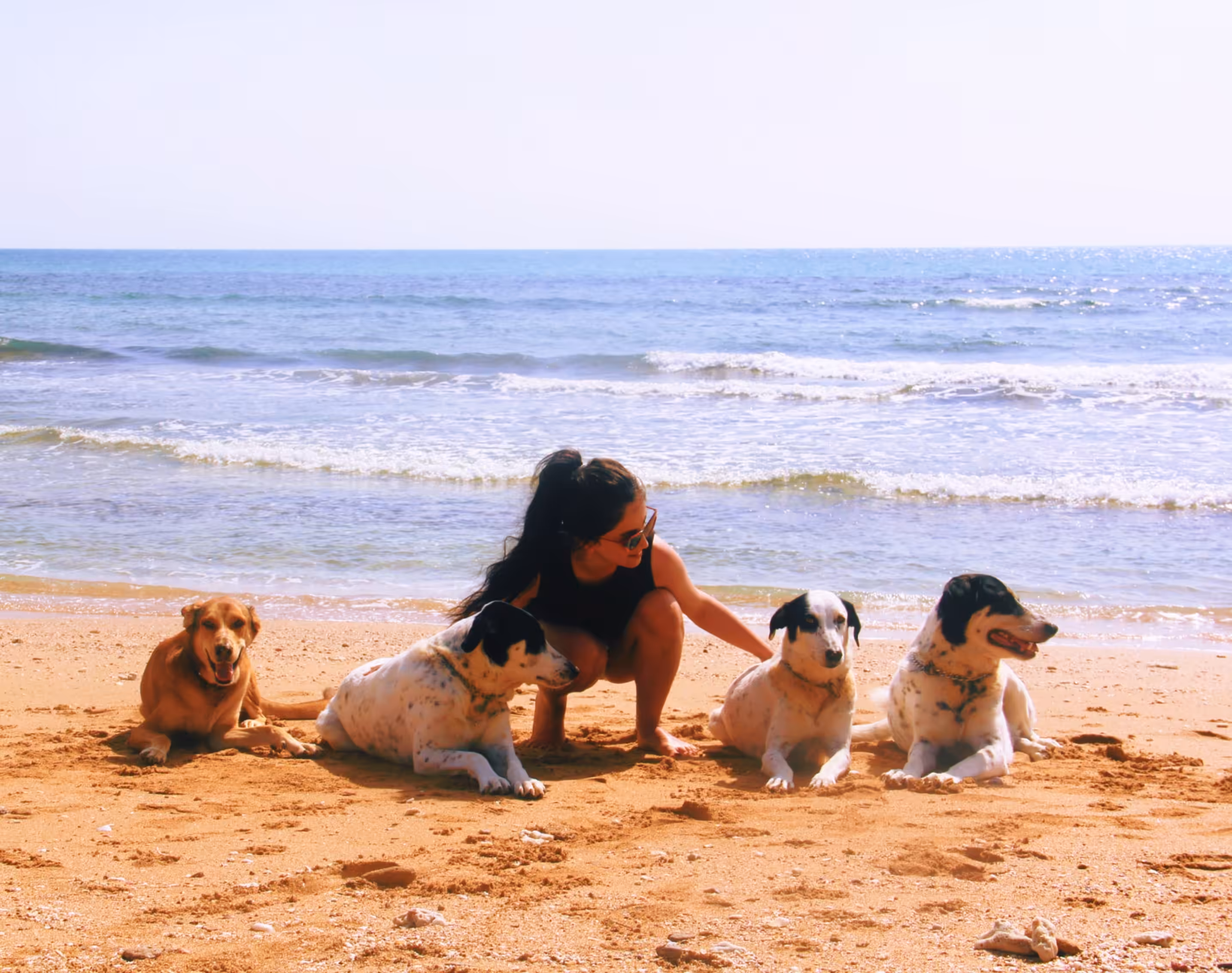 Mother of Dogs