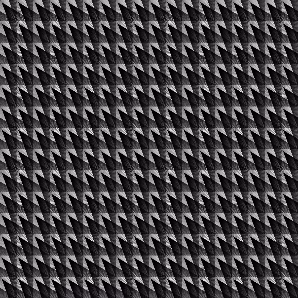 Noir et Blanc #198