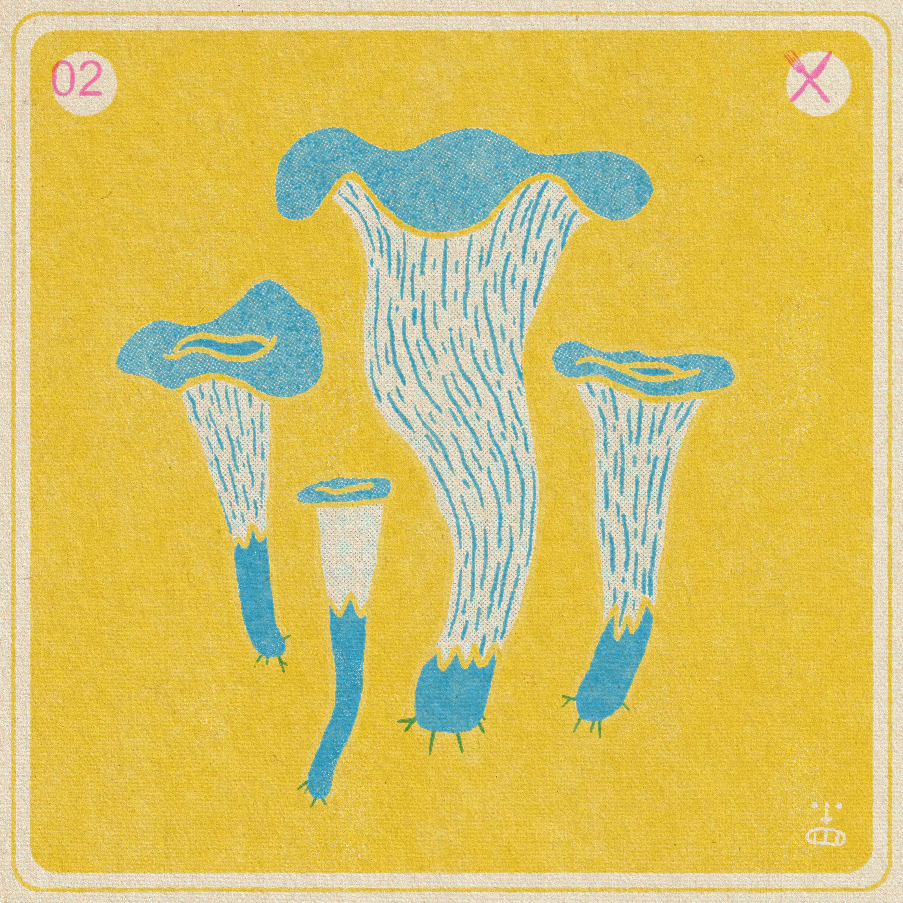 2- Craterellus Cornucopioides (Black Trumpet / Trumpet of the Dead)