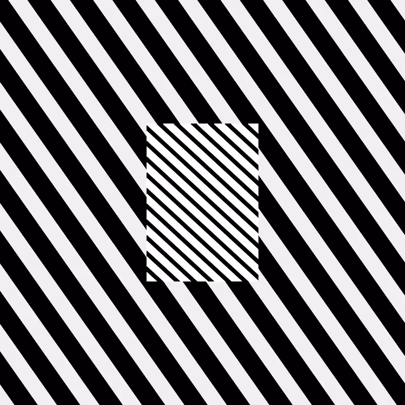 Chromatic dazzle #441