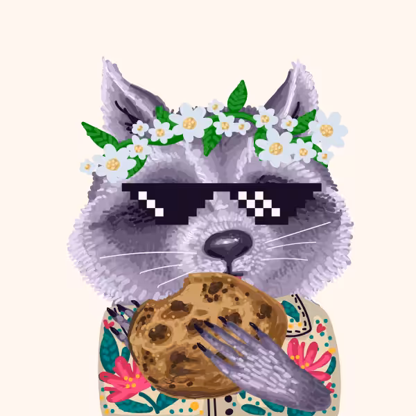 Cool Raccoon Collection #44