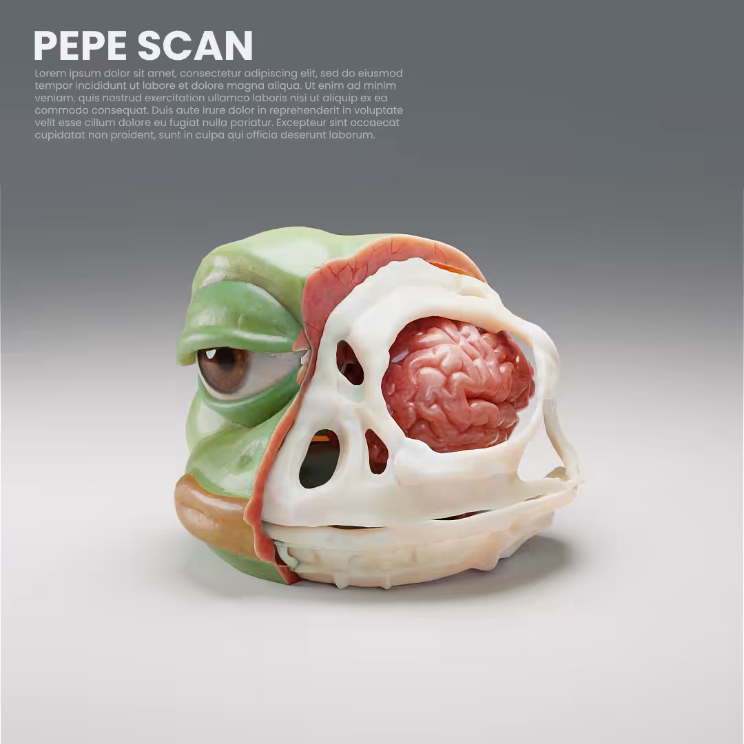 Scanning Pepe . . .