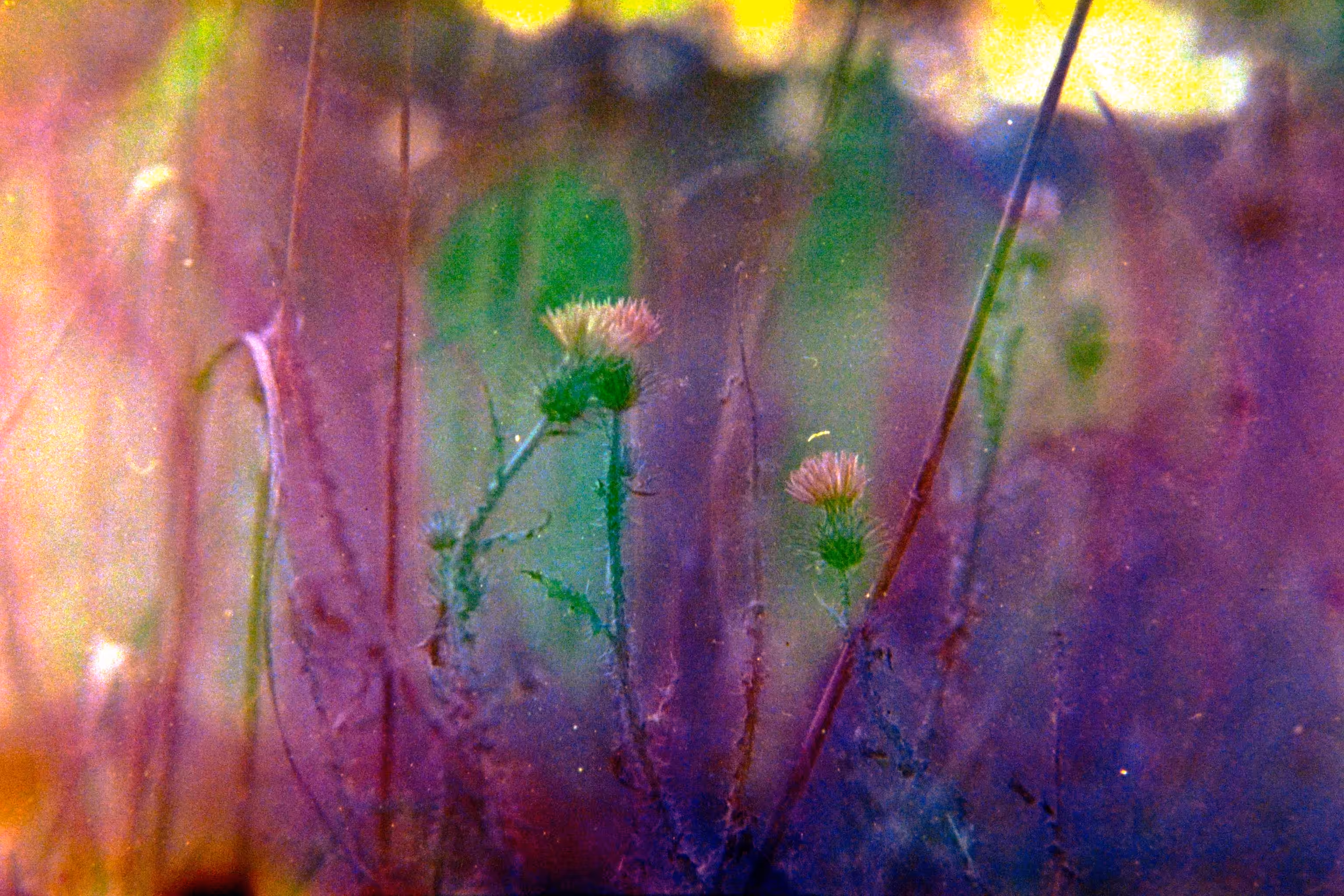 Dissolve