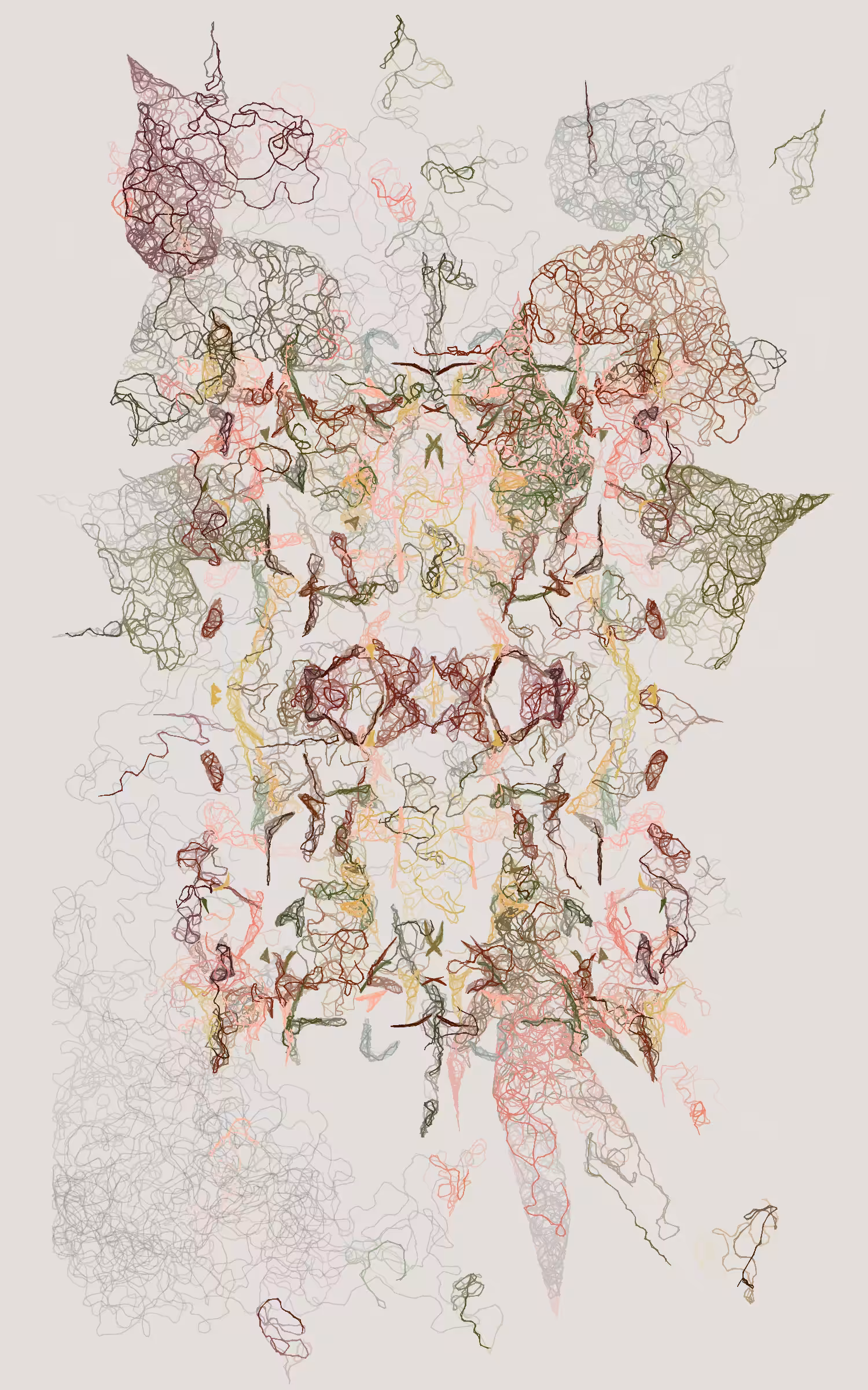 Orchids #248