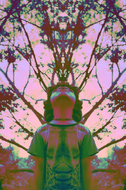 Splitted