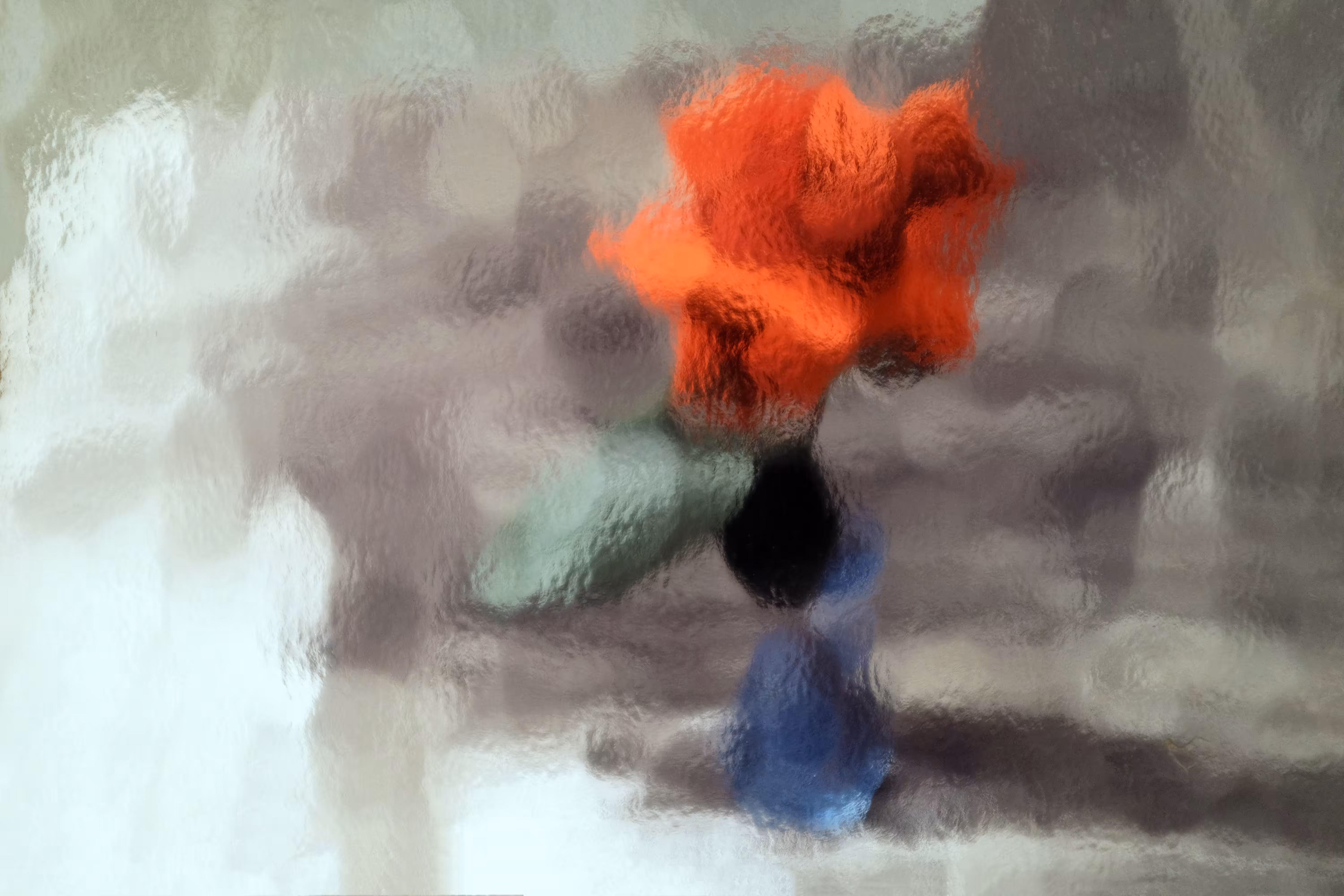 Red Rose