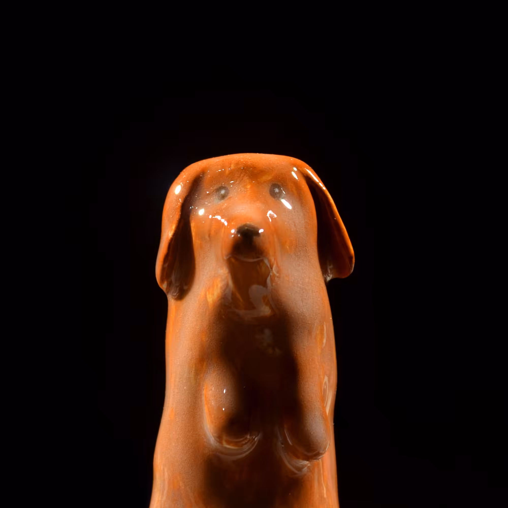 pfpup#0068