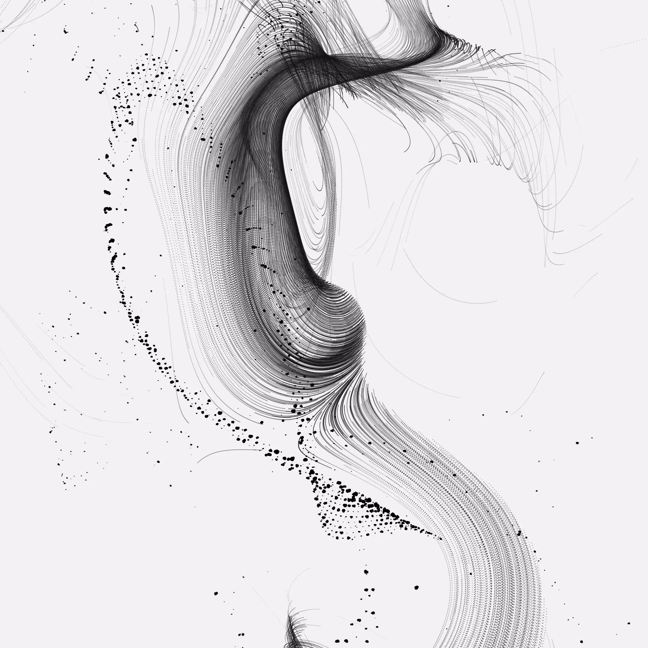 Murmuration 02/10