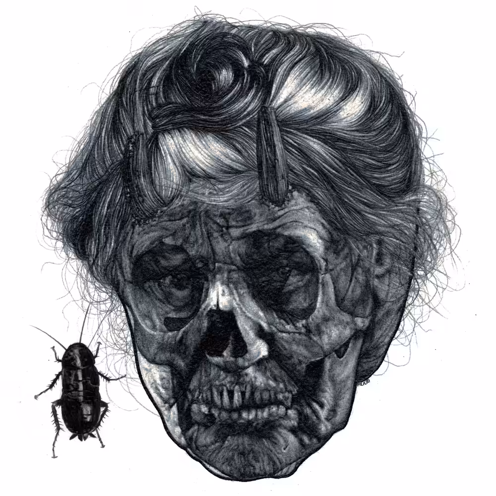 LA MORTACCIA