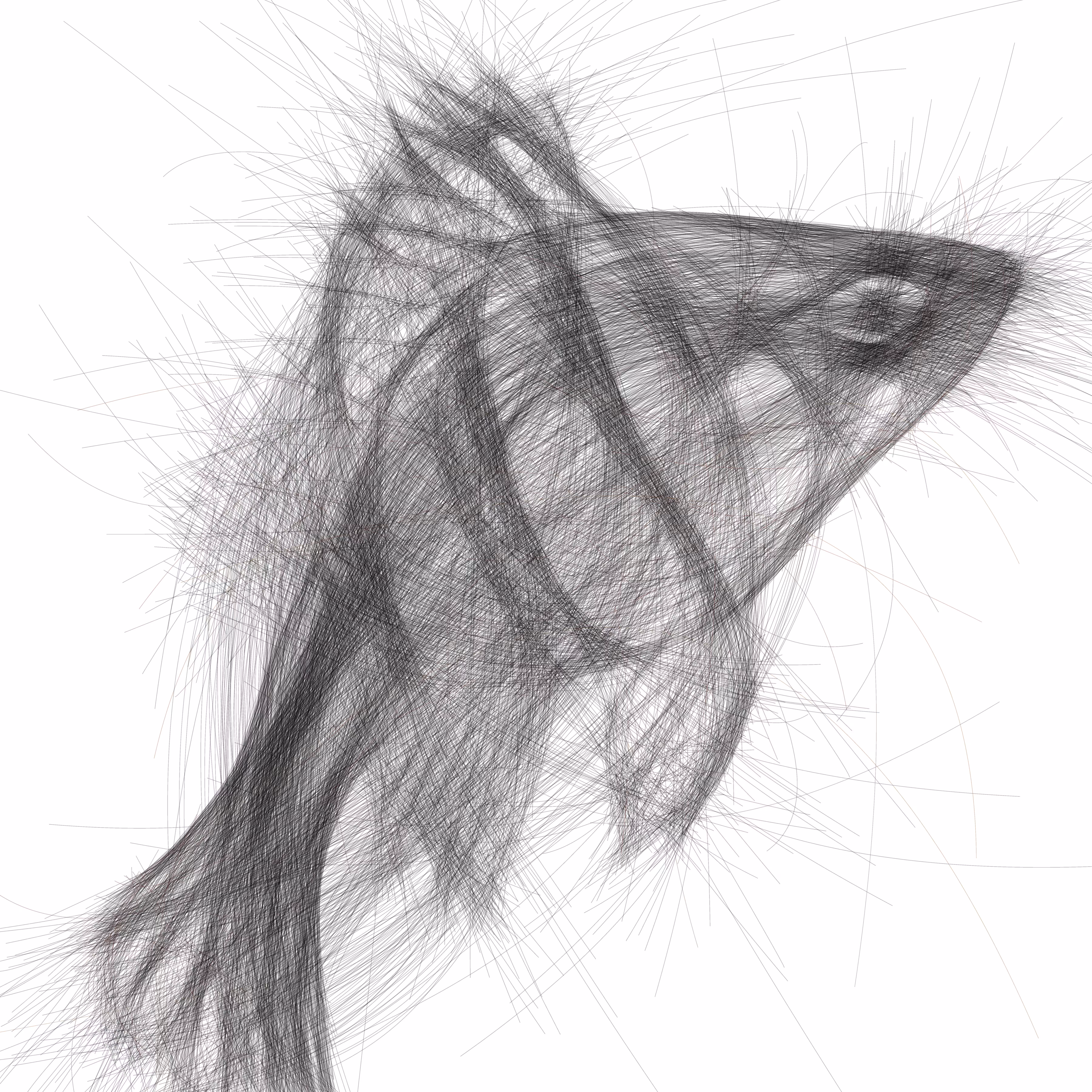 UNDERWATER: Underwater 342