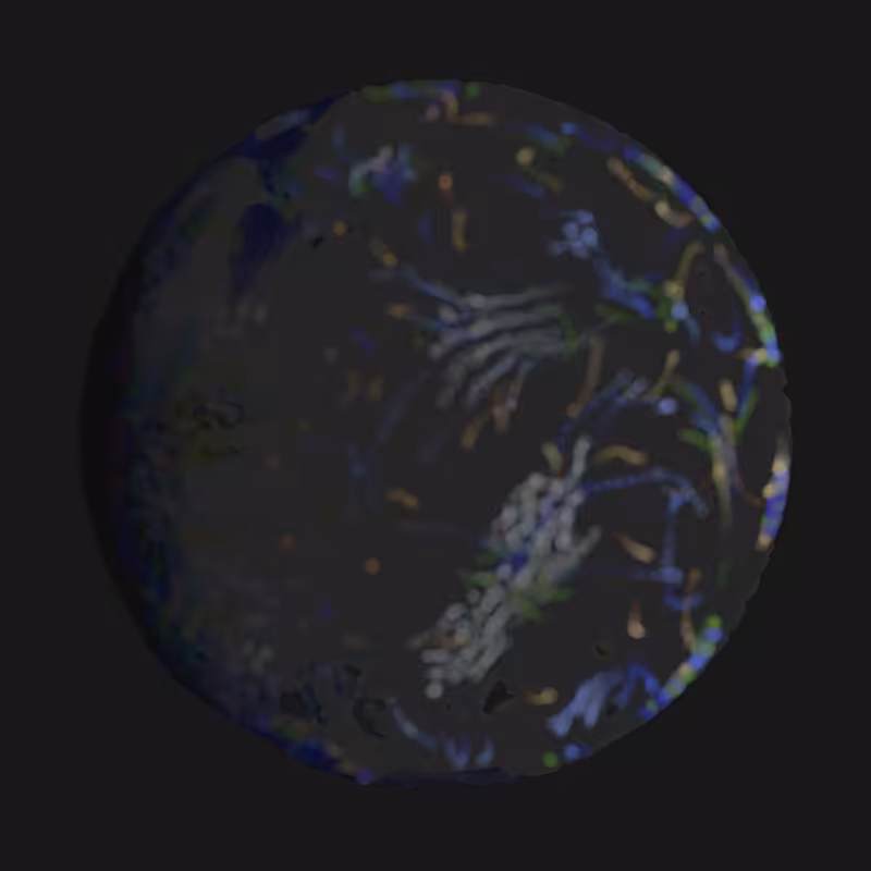 Earth #49