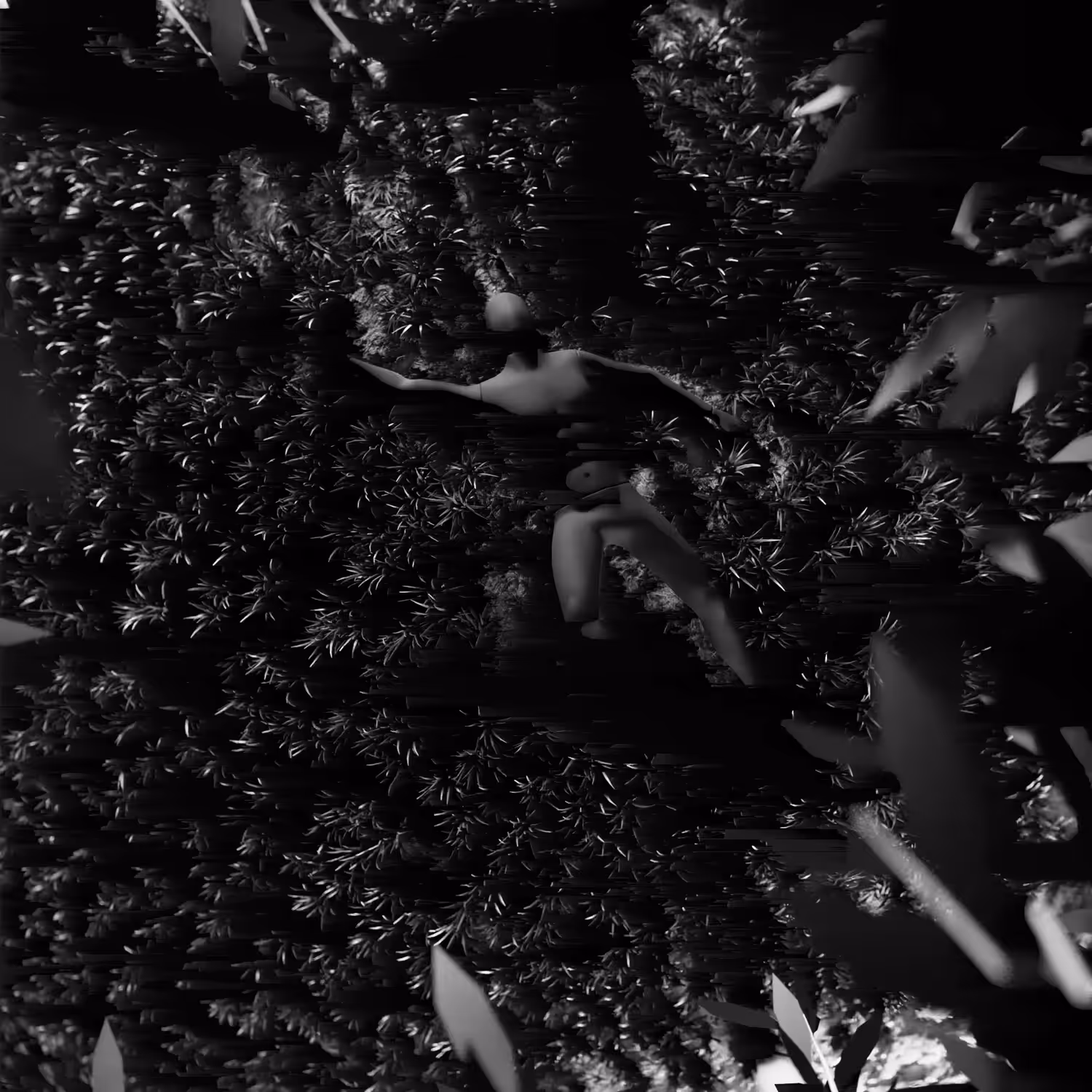 Lost in the shadows