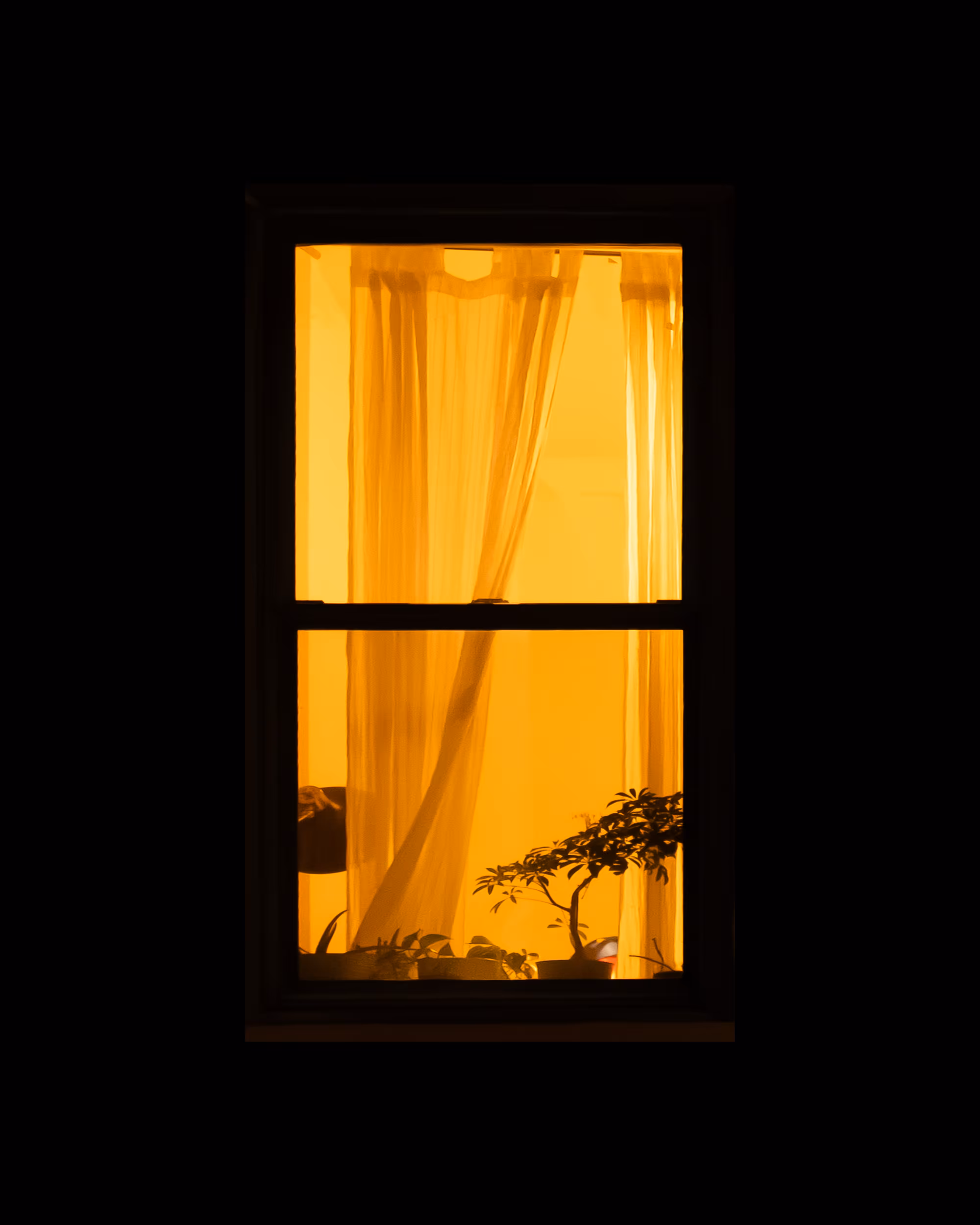 WINDOWS // NYC: WINDOW 674