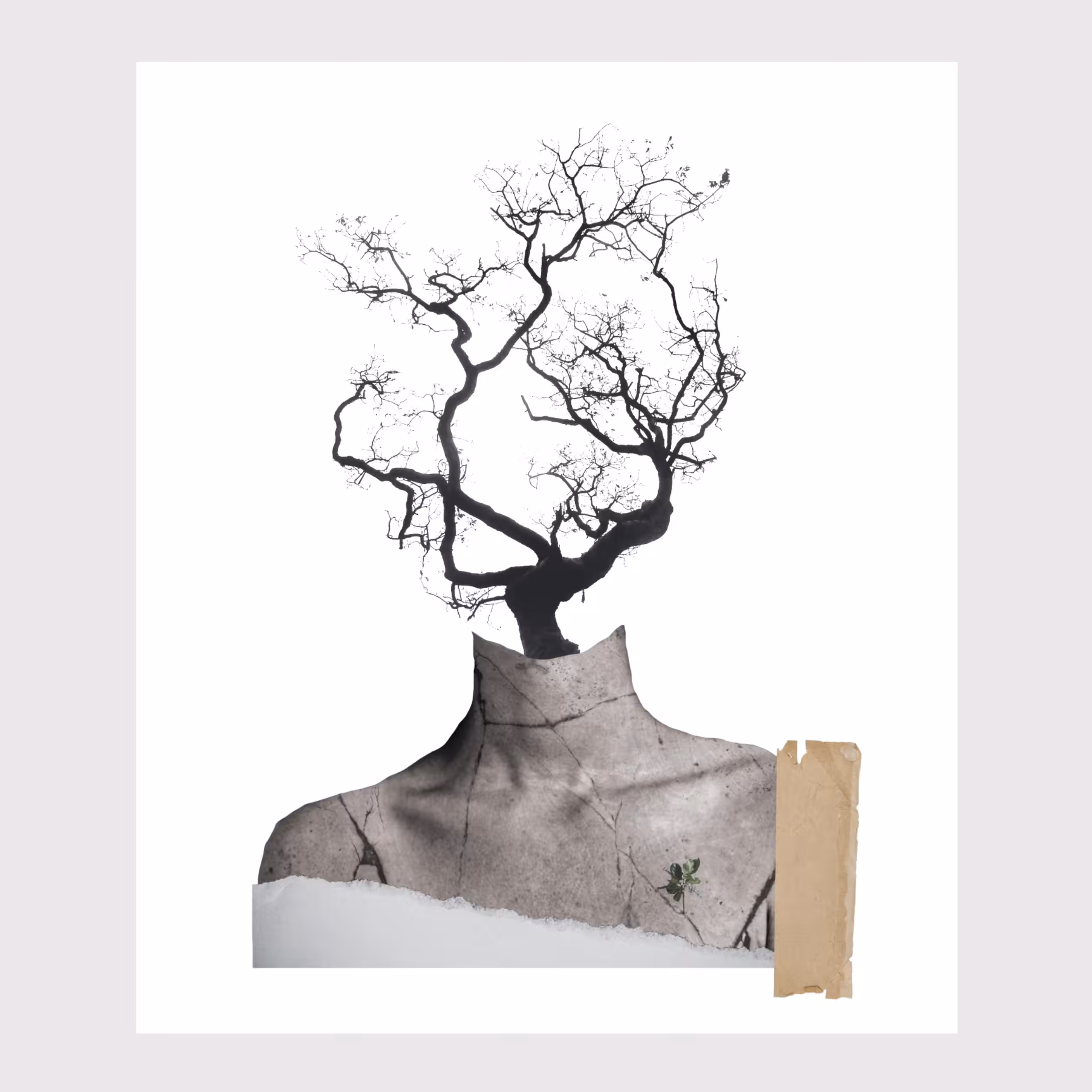 tree of life