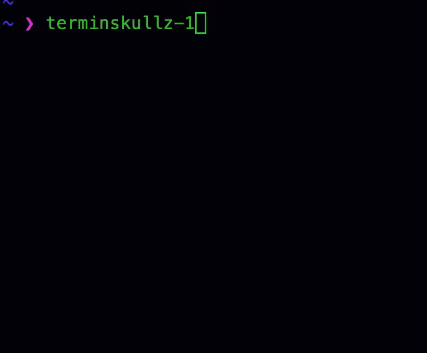 TerminSkullz