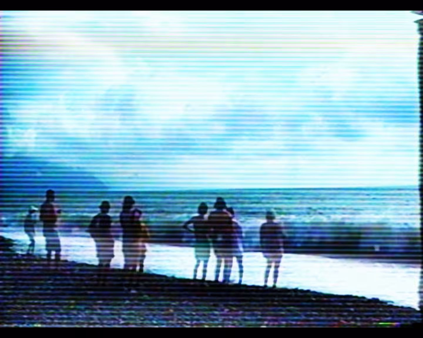 Dead dolphin show