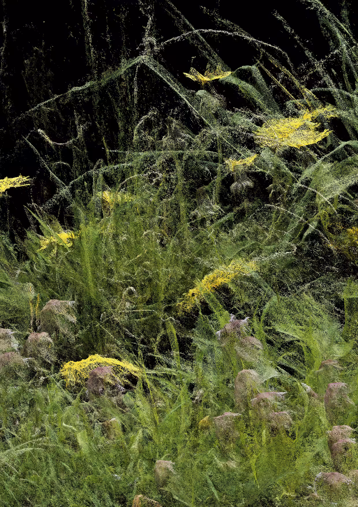 Overgrowth 0014