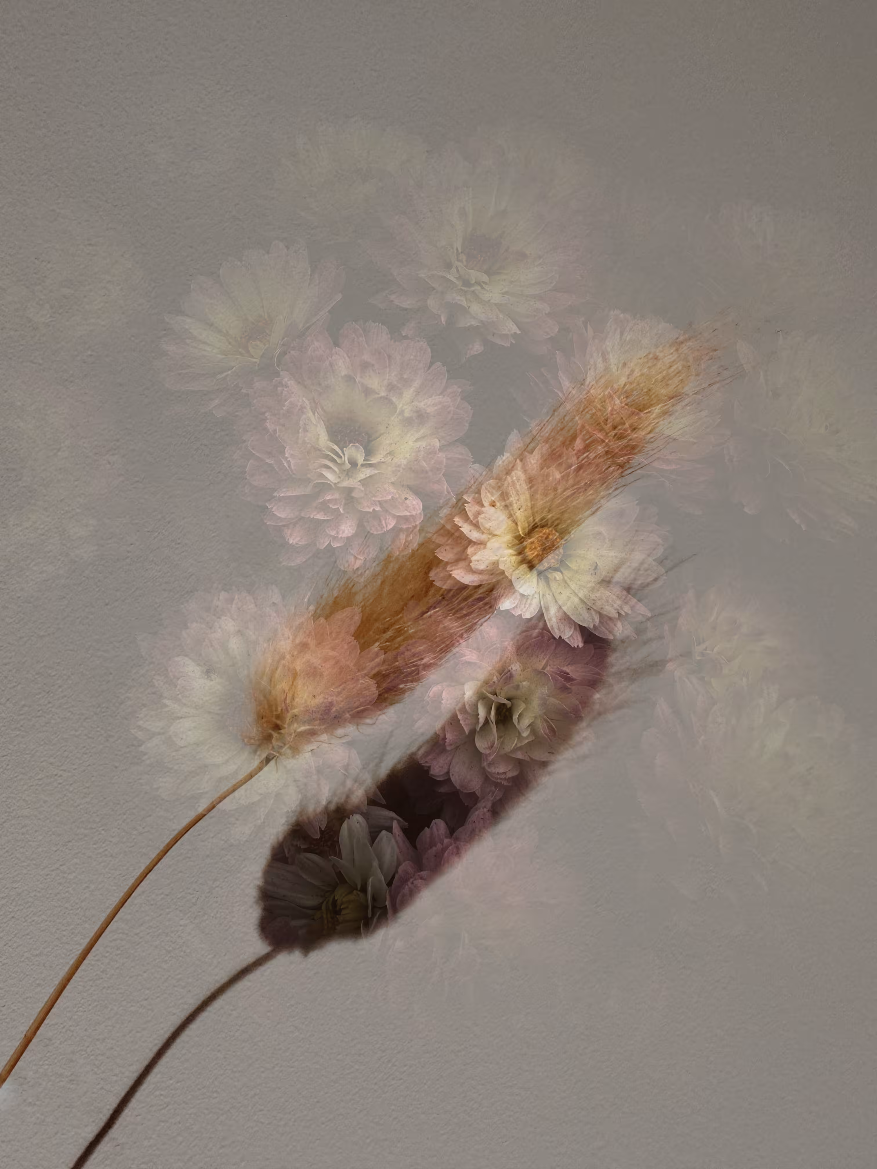 Whisper on the Wind
