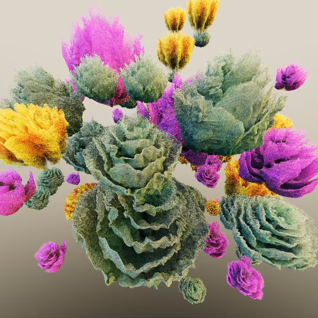 rosarium #177