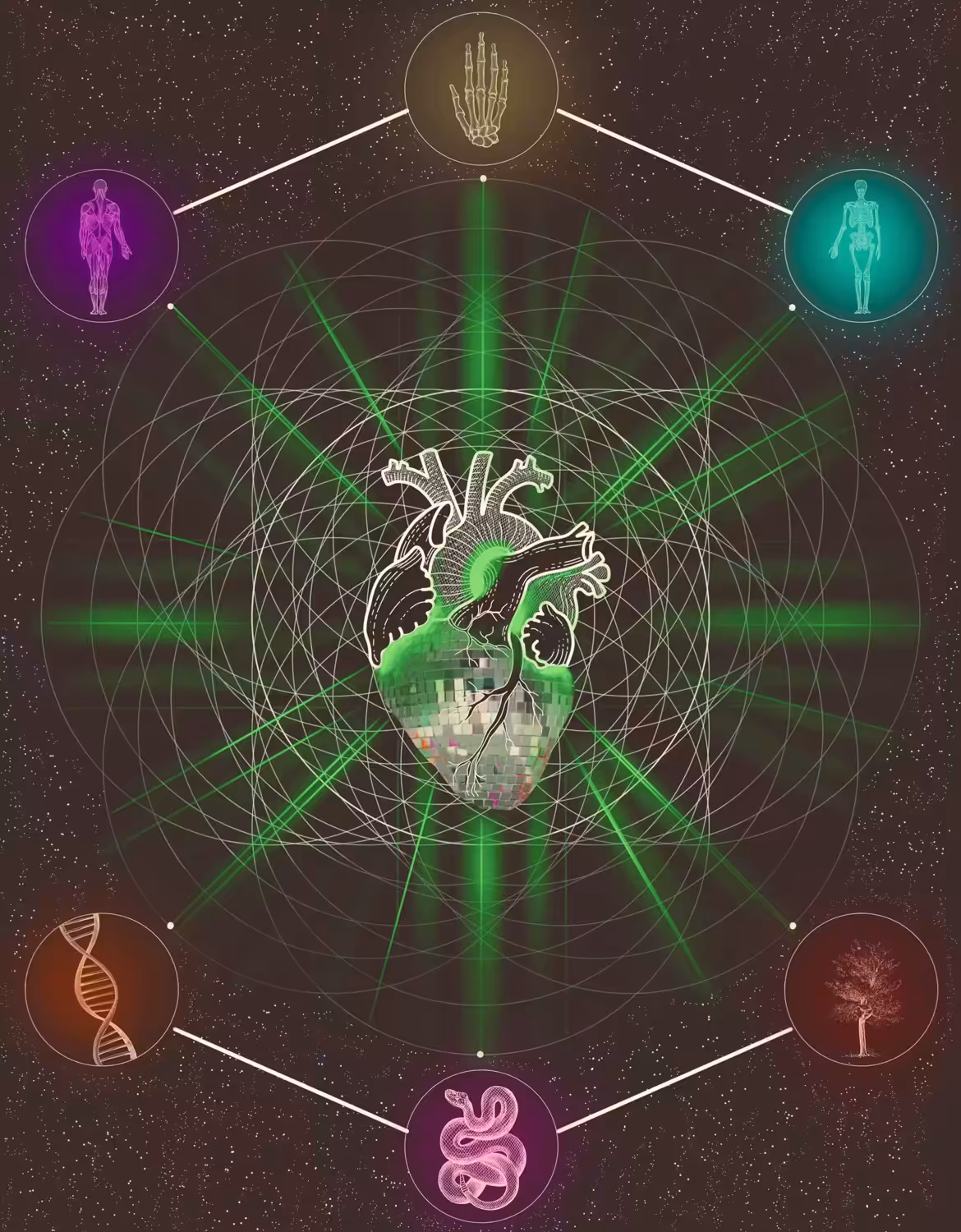 Rhythm of Circle