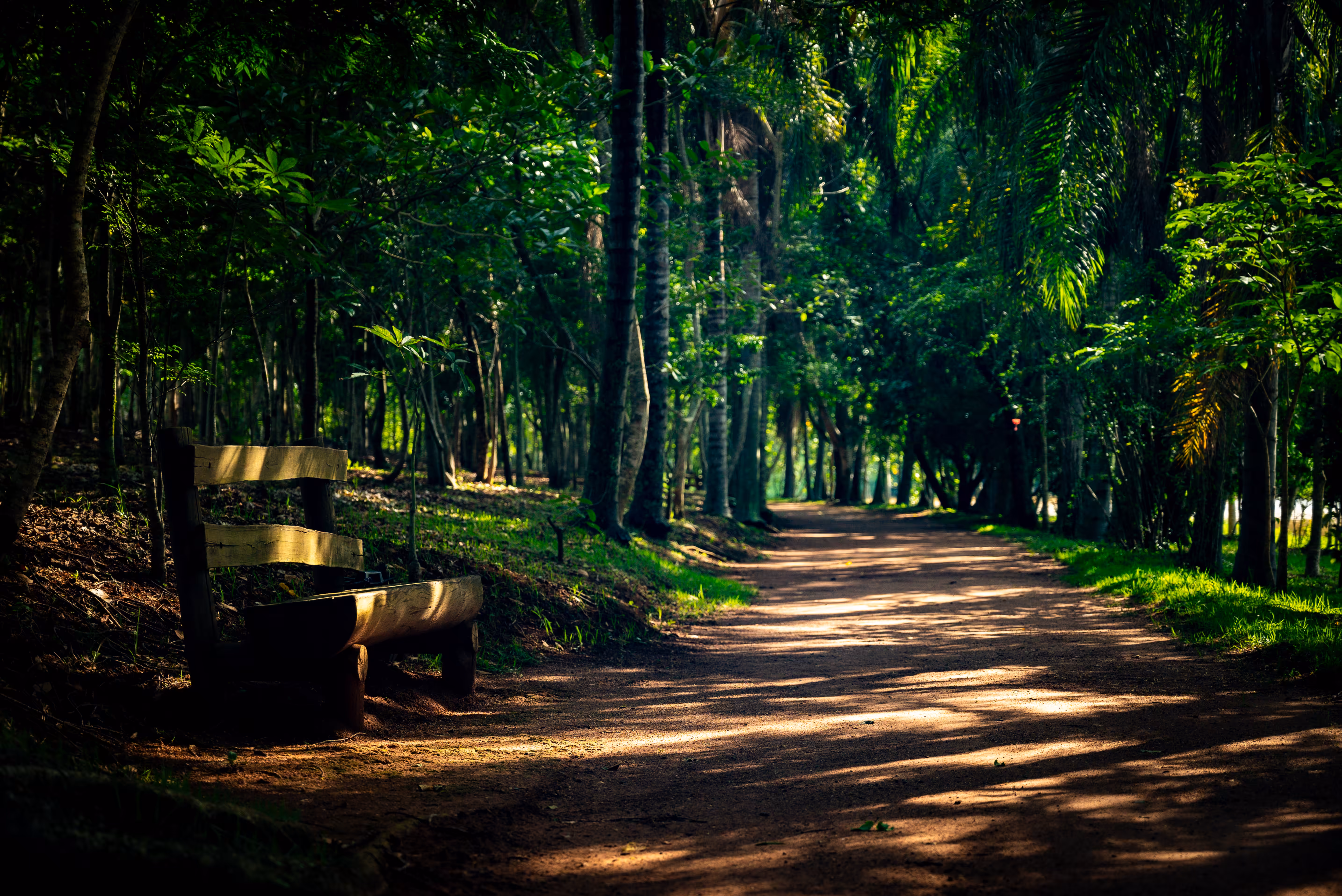 bench