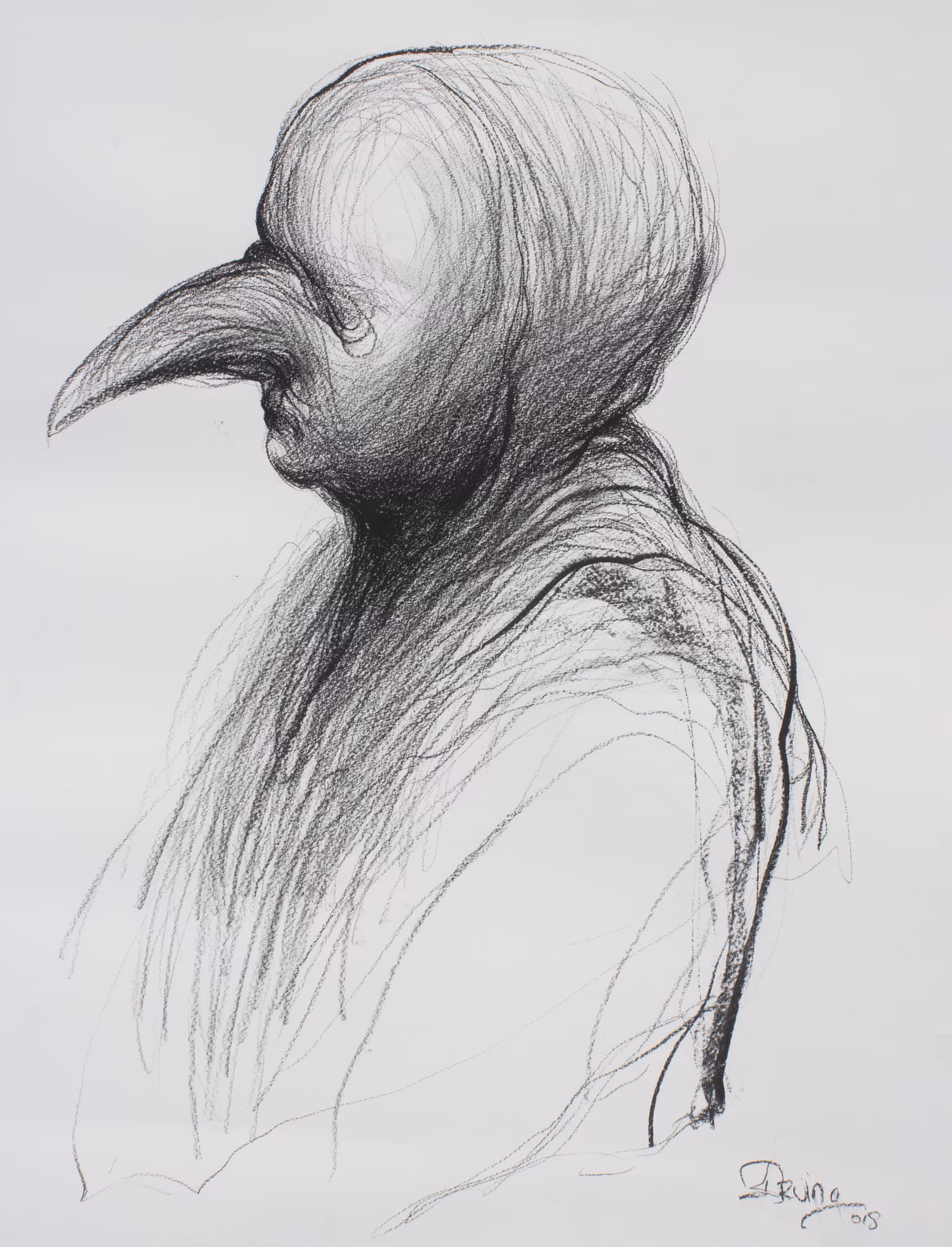 Untitled/Birdman Collection