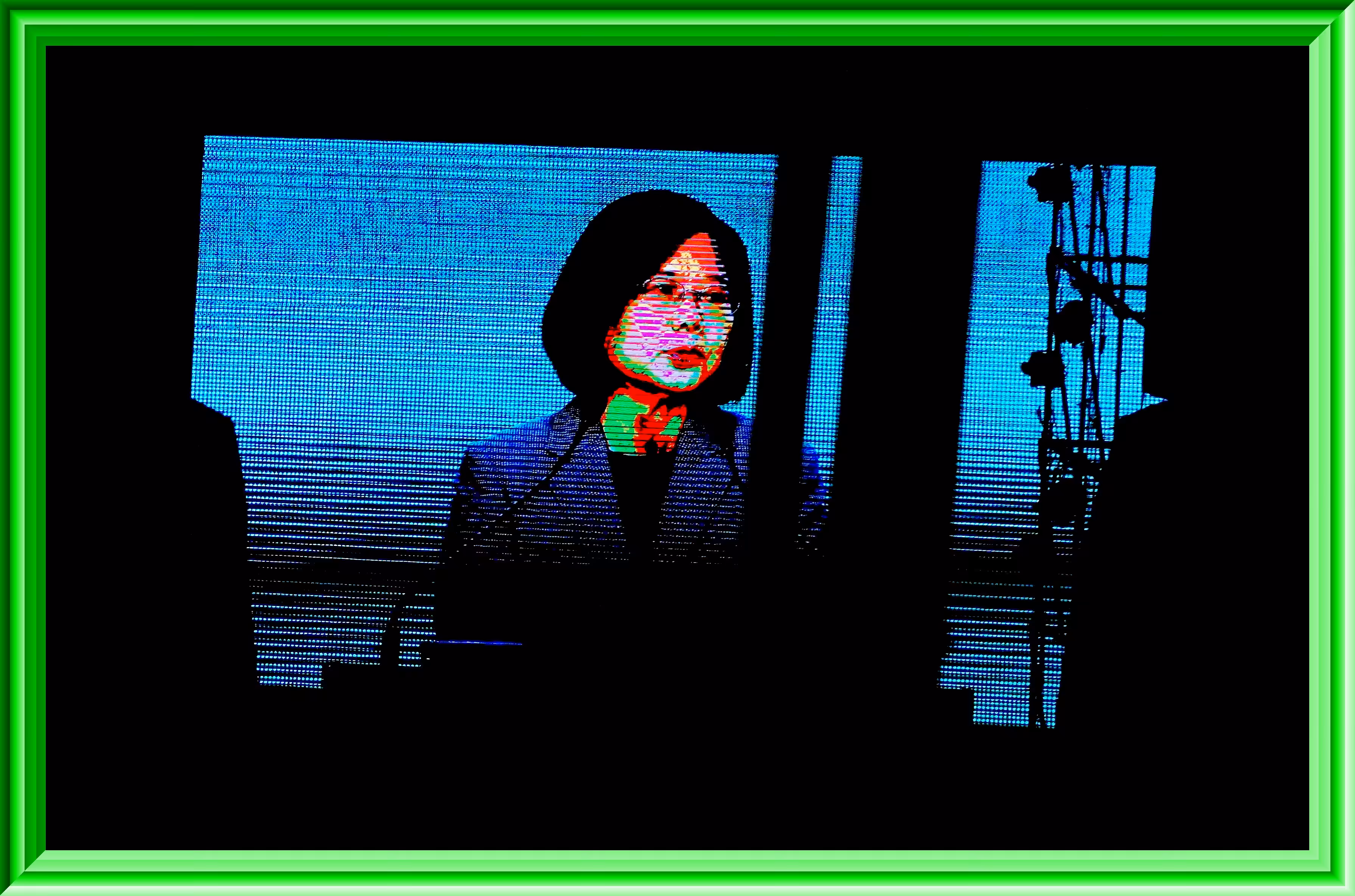 Tsai Ing-wen : 蔡英文