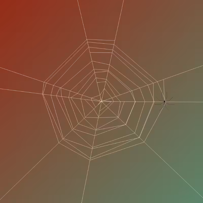 Weaving Spiders #8