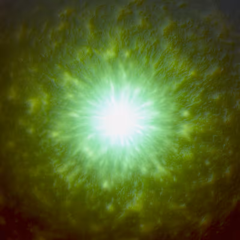 Singularity #33