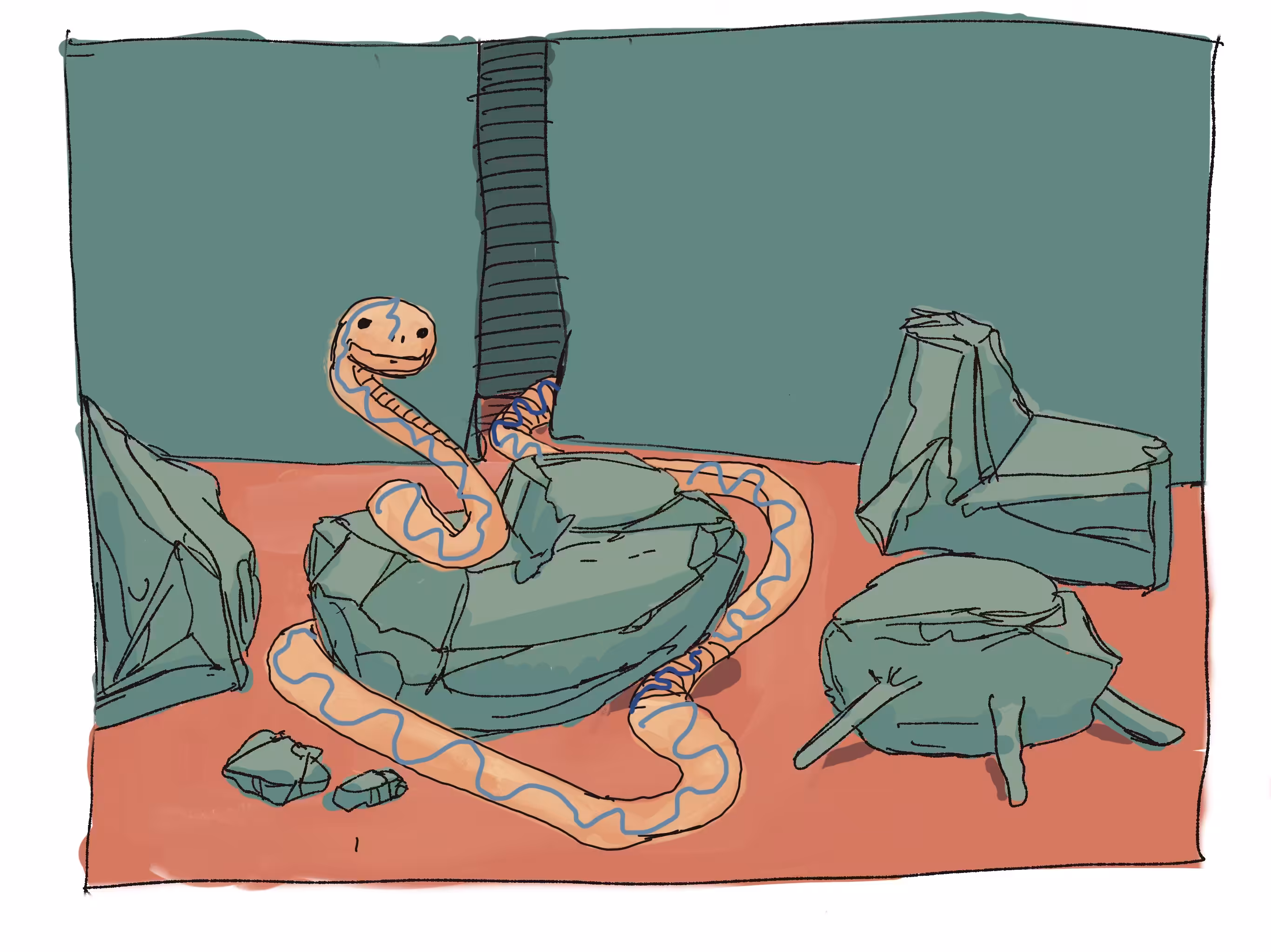 Curiosity 