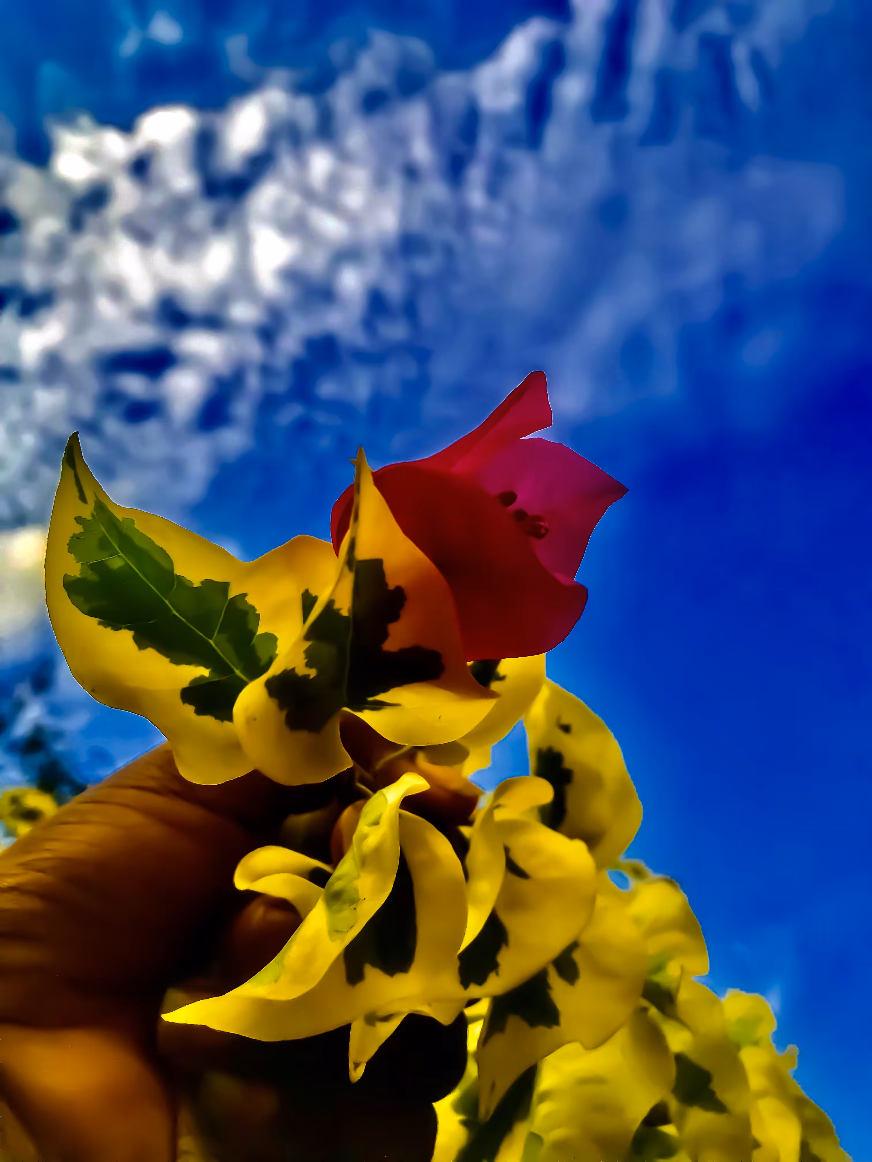 To hold and cherish