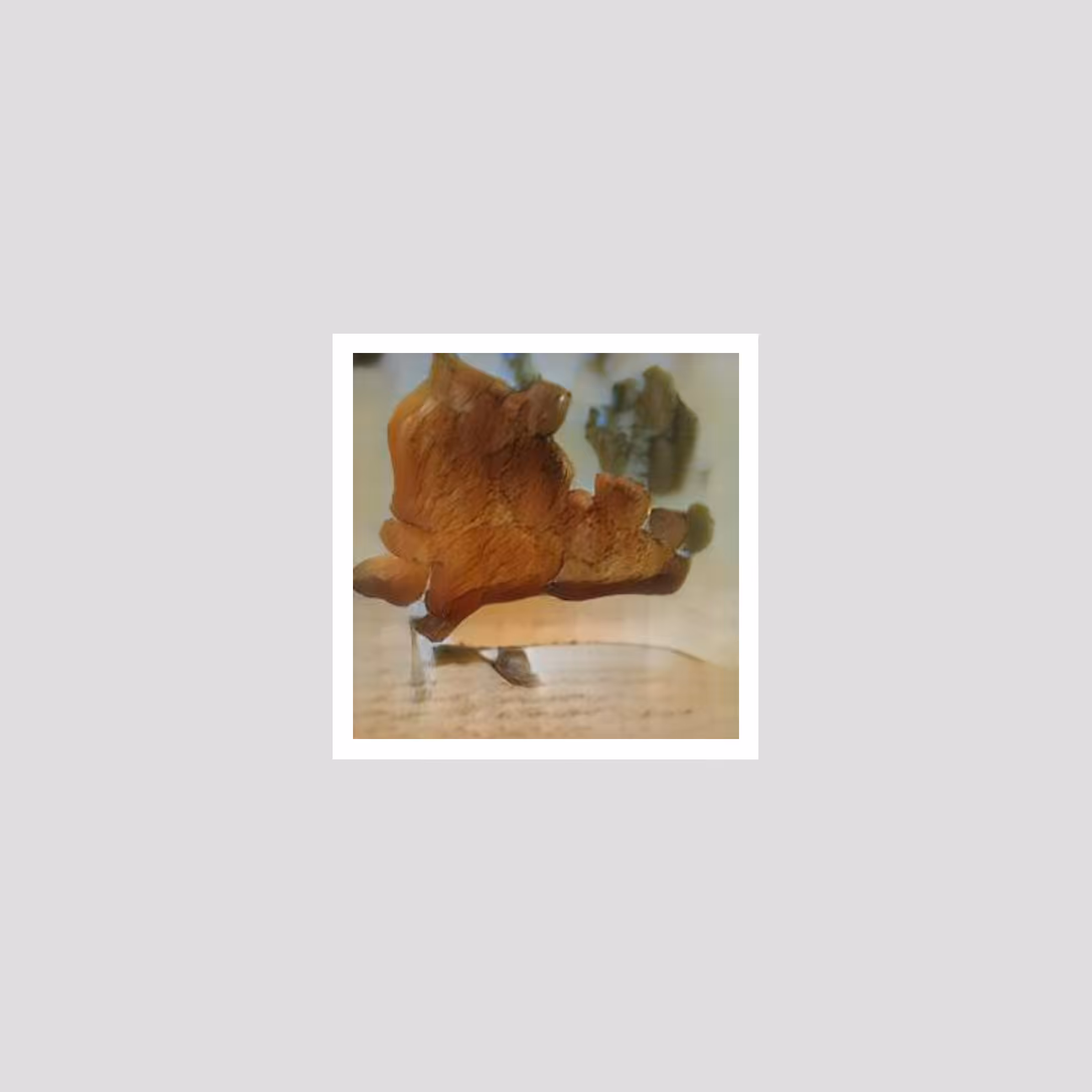 Snail0Juice