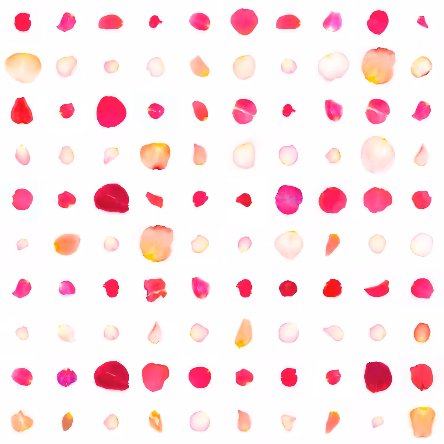 Infinite Petals 10x10#1327