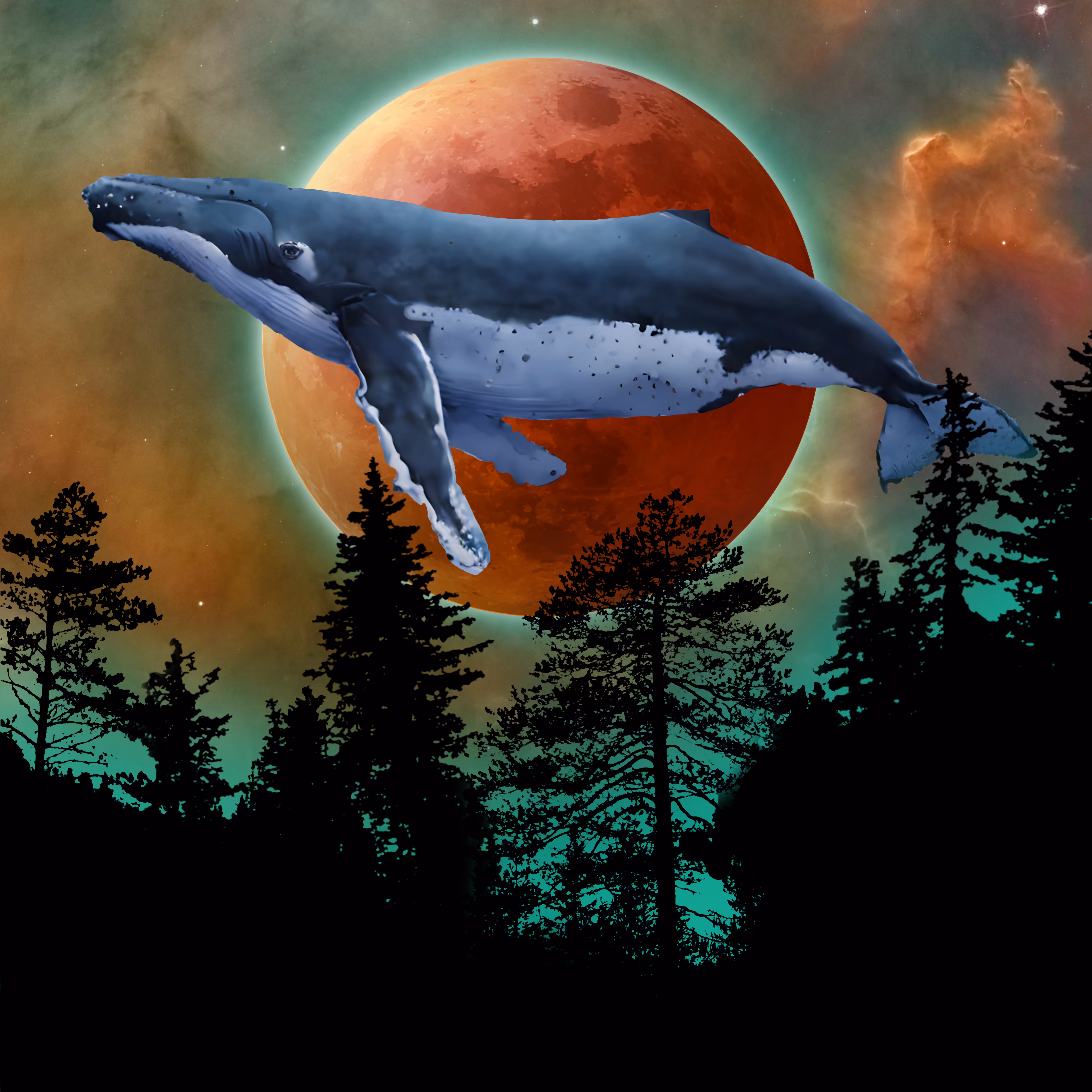 Night Whale #1