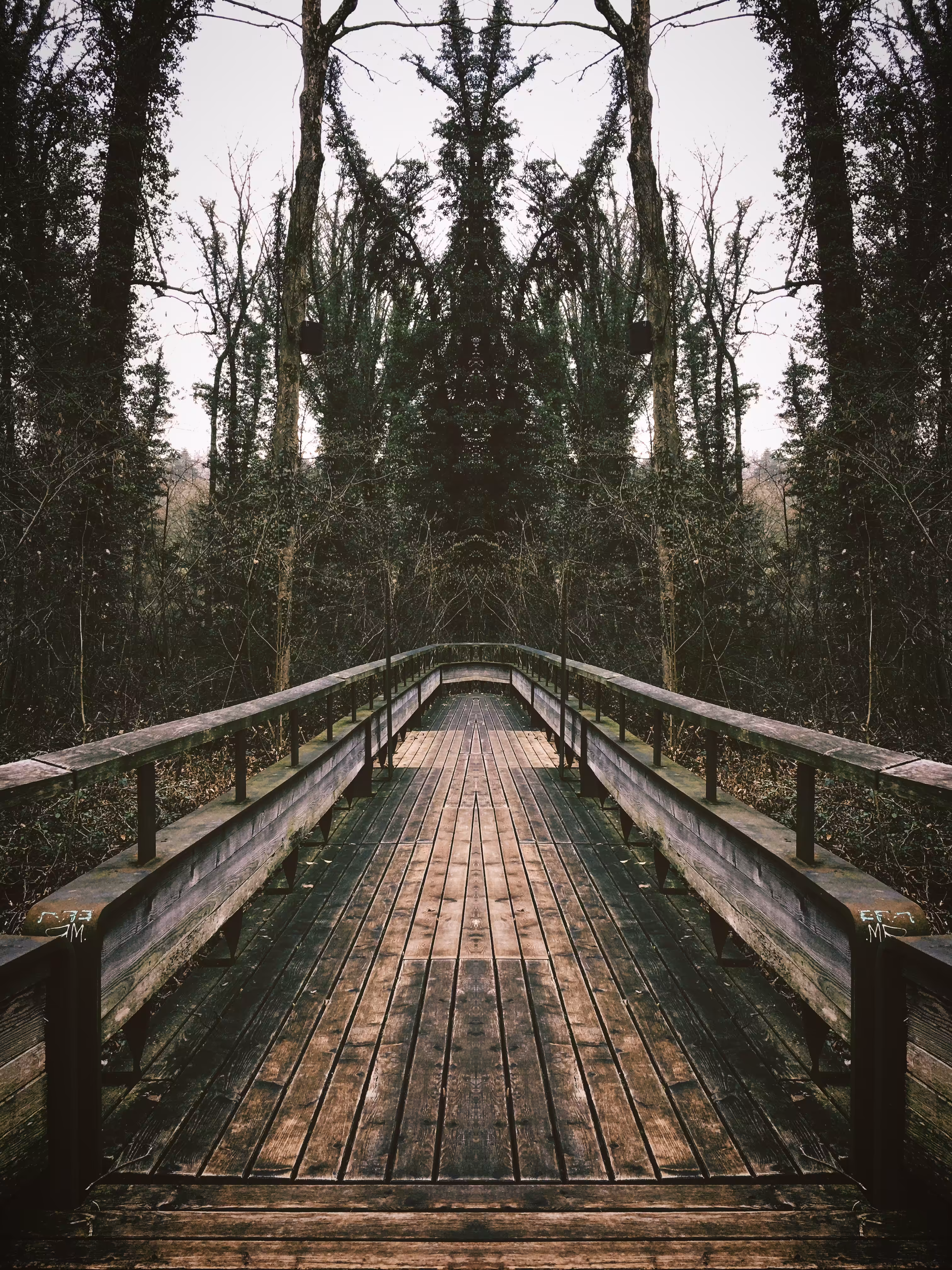 Symmetrography #09