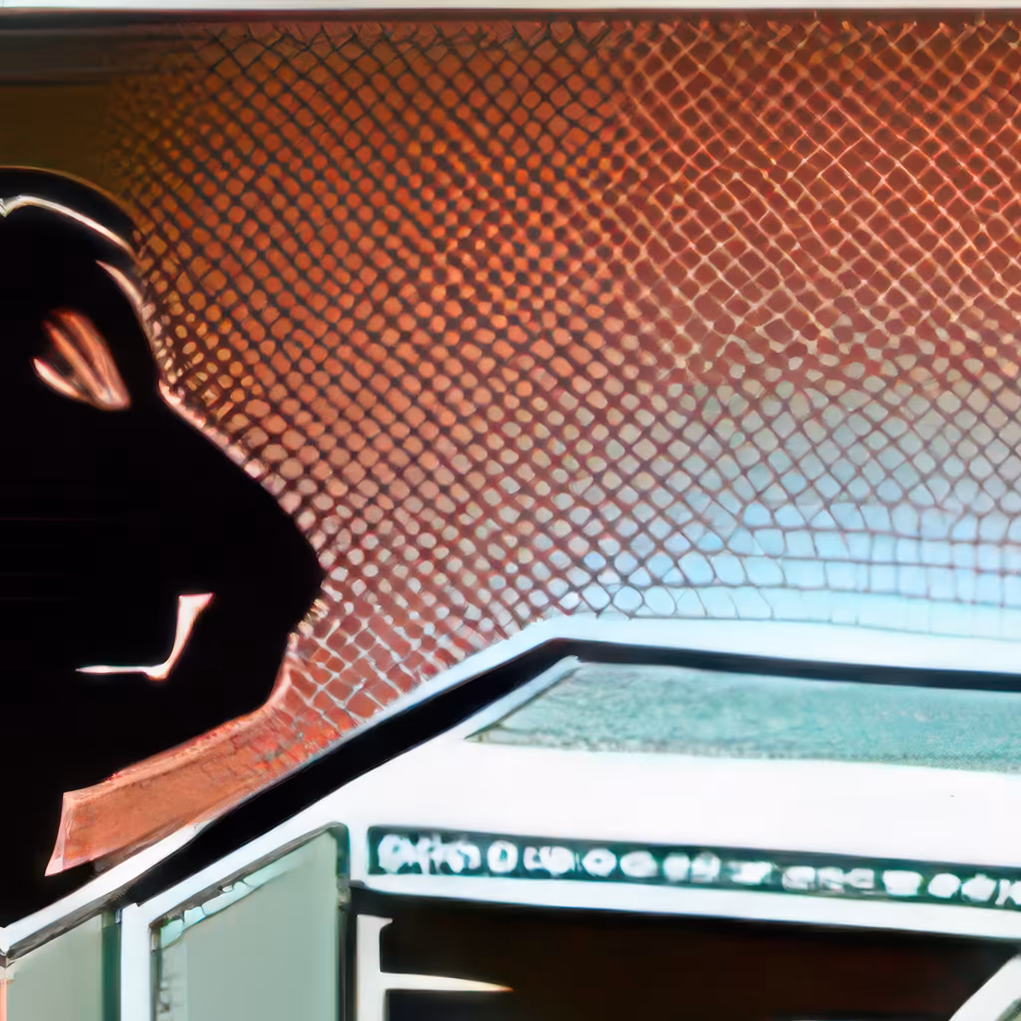 COMPU '82 PROMO POSTER DAY 01 PANEL 01