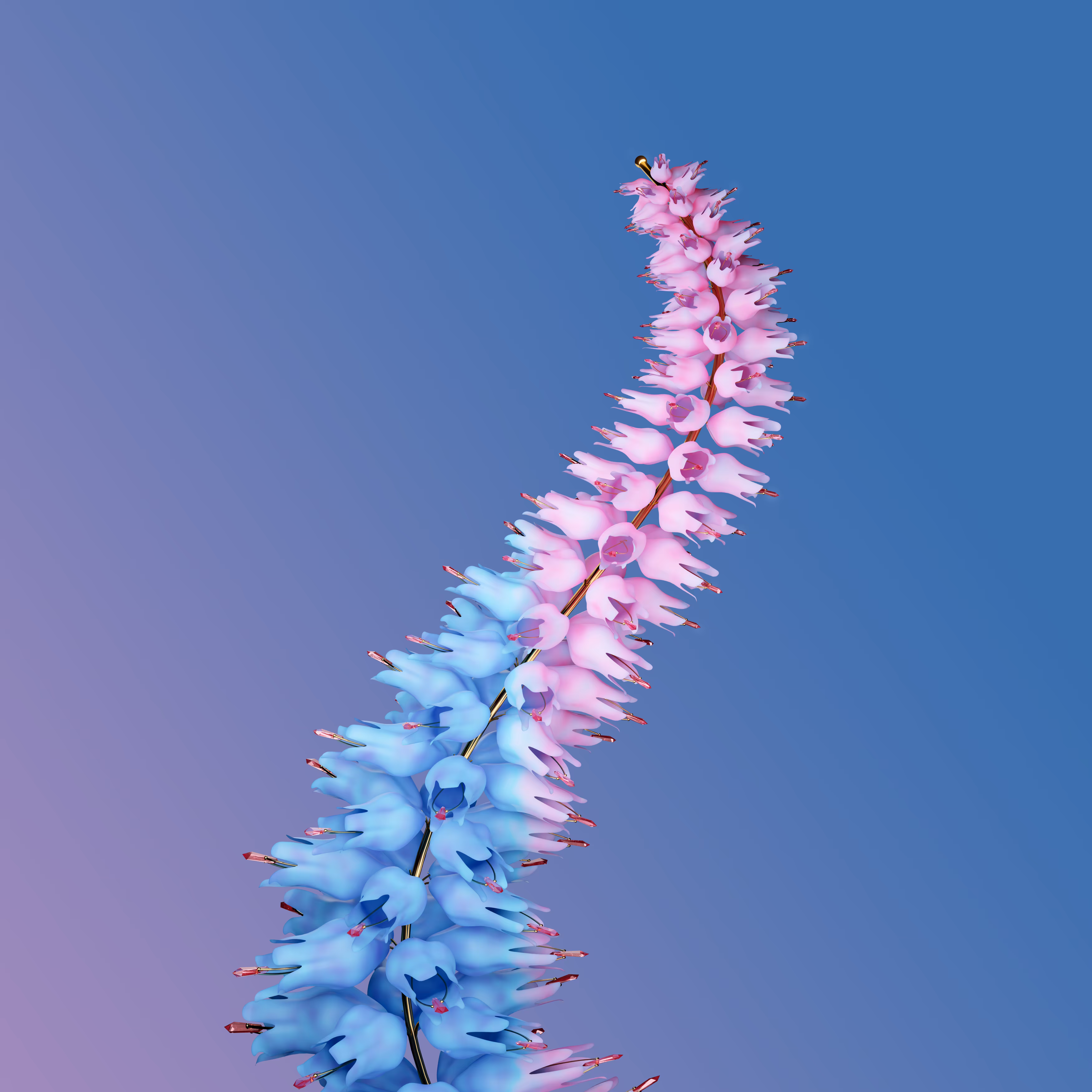 FLORA