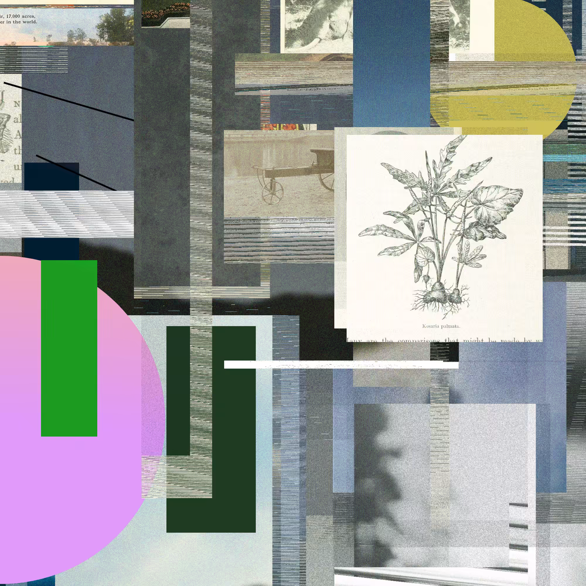 Unconscious Collages #16