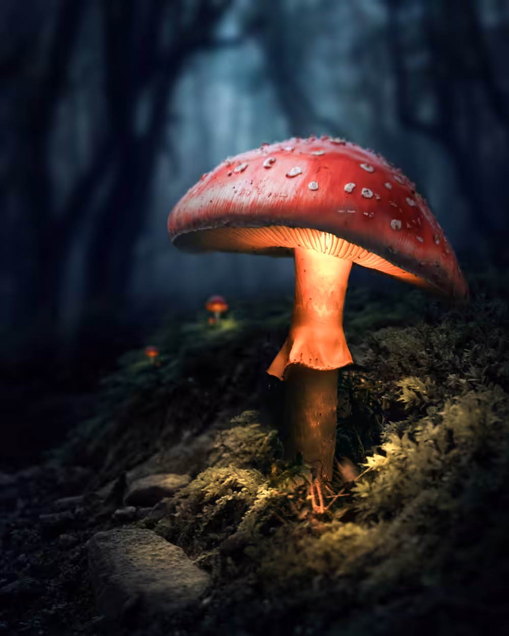 The Mushroom