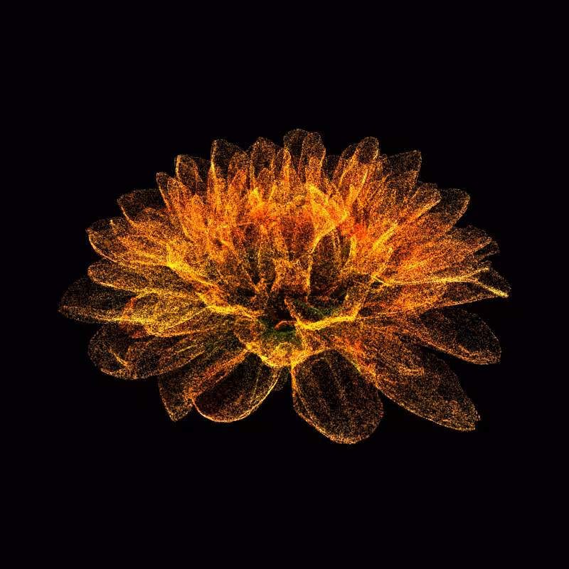 Dahlia Pinnata 30 #163