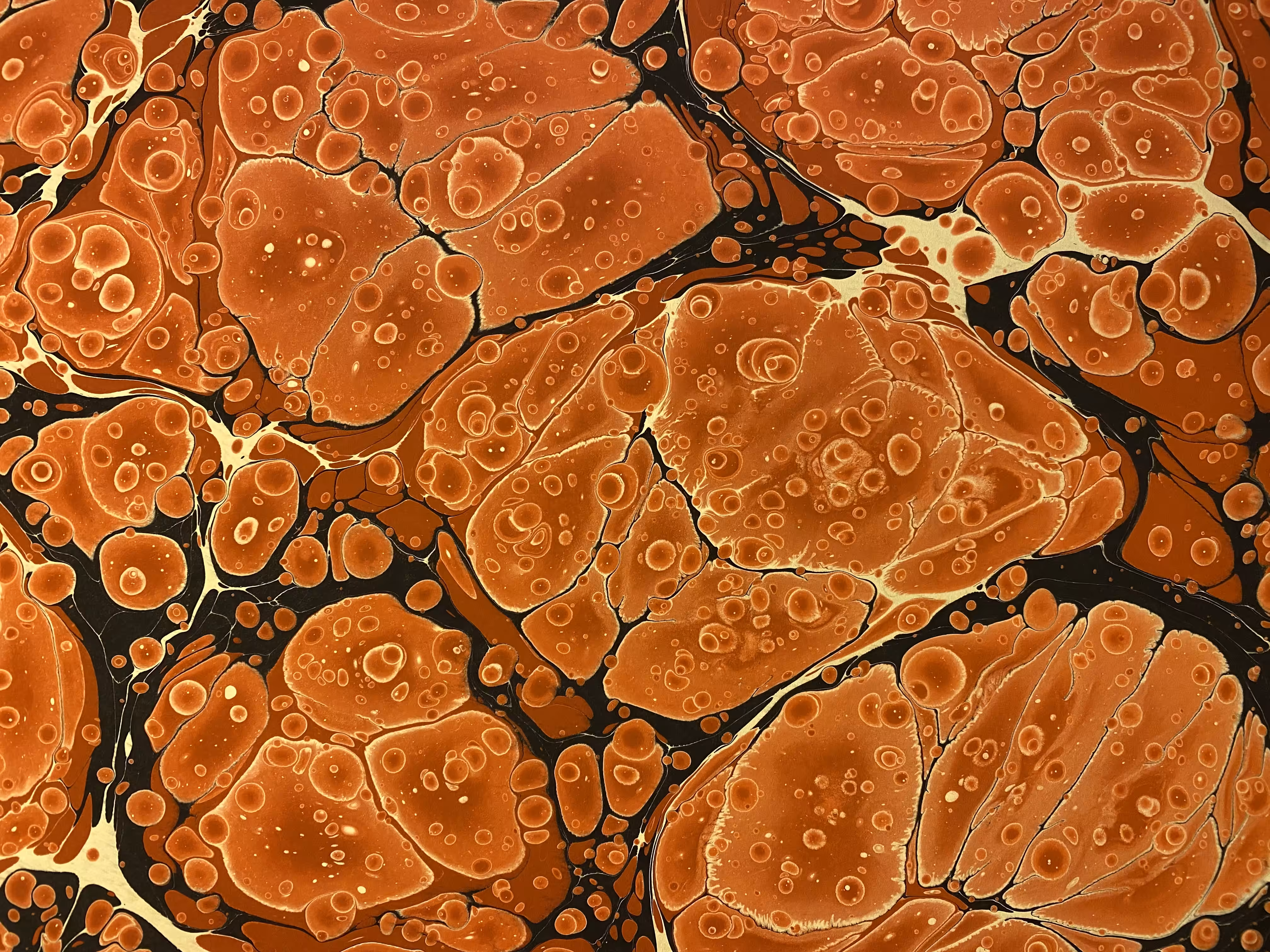Battal Ebrû / Marbling Art DE #6